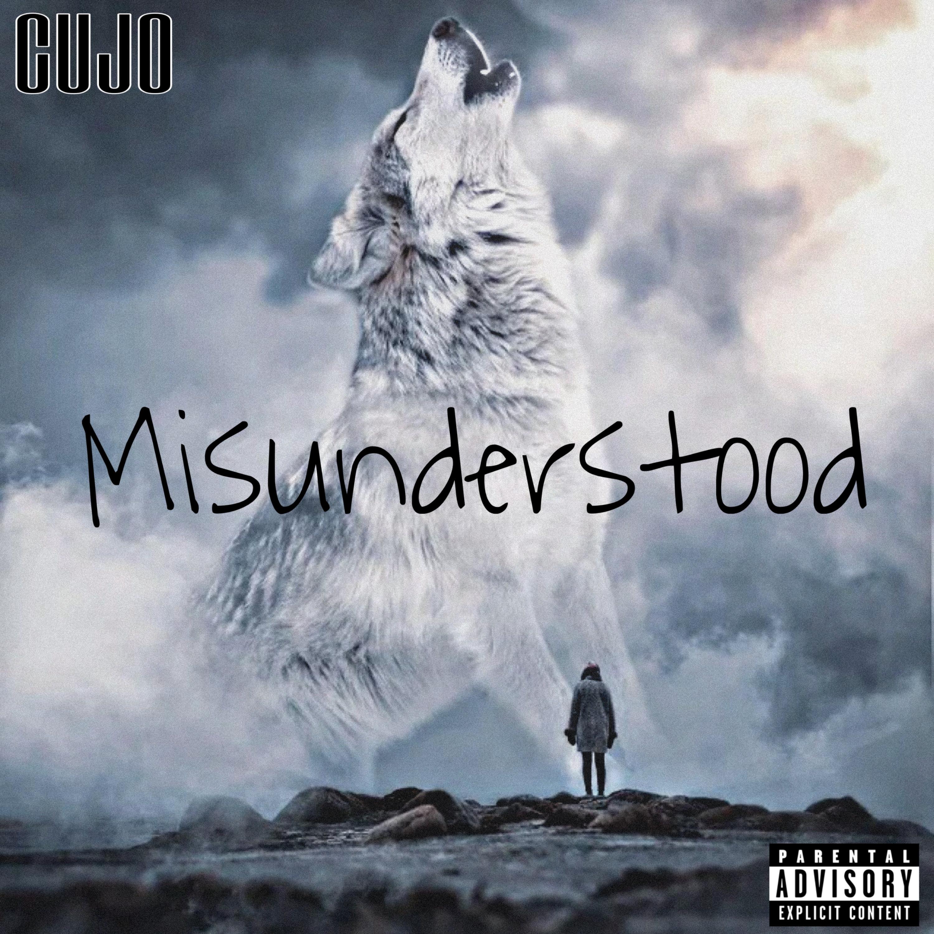 Misunderstood artwork