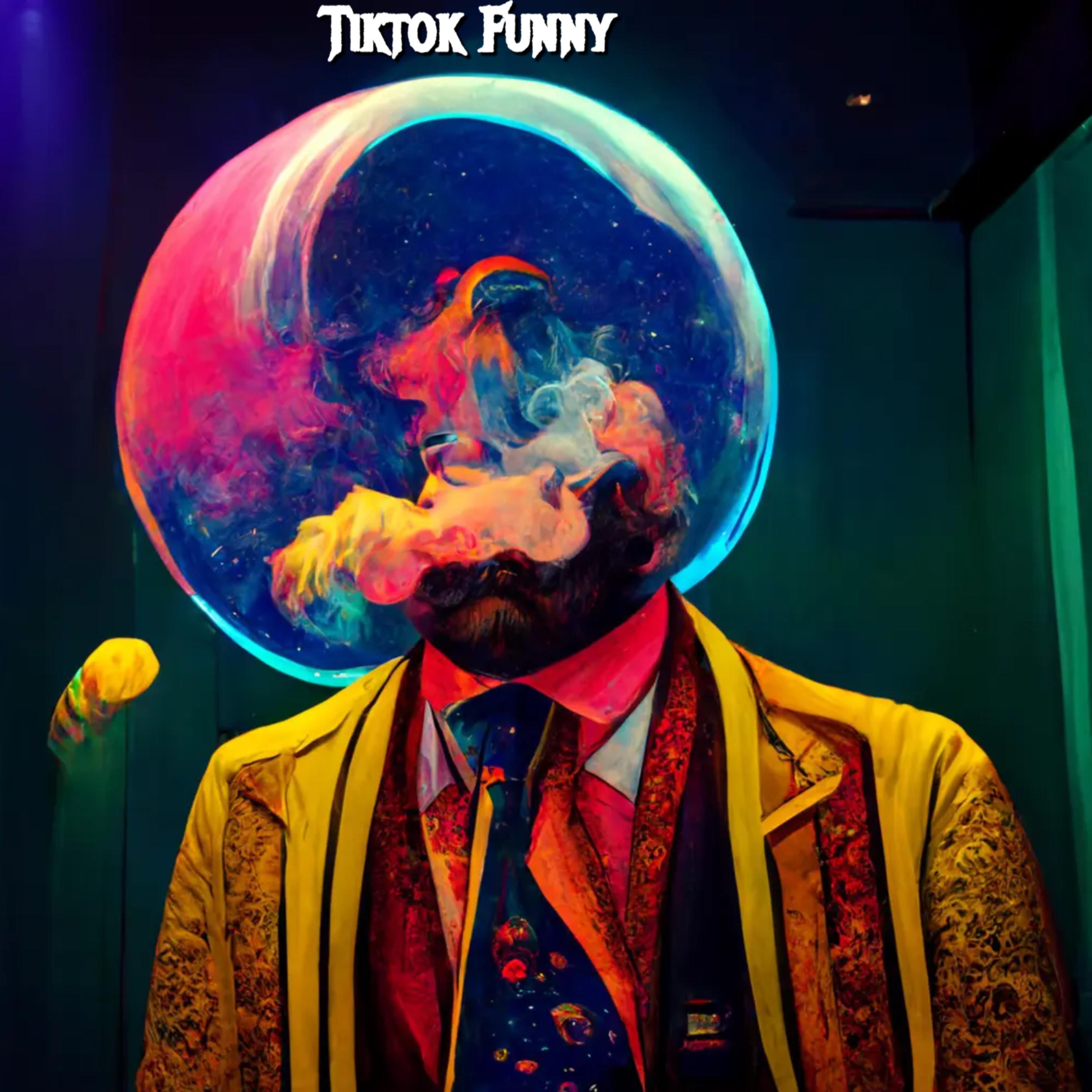 Tiktok Funny artwork