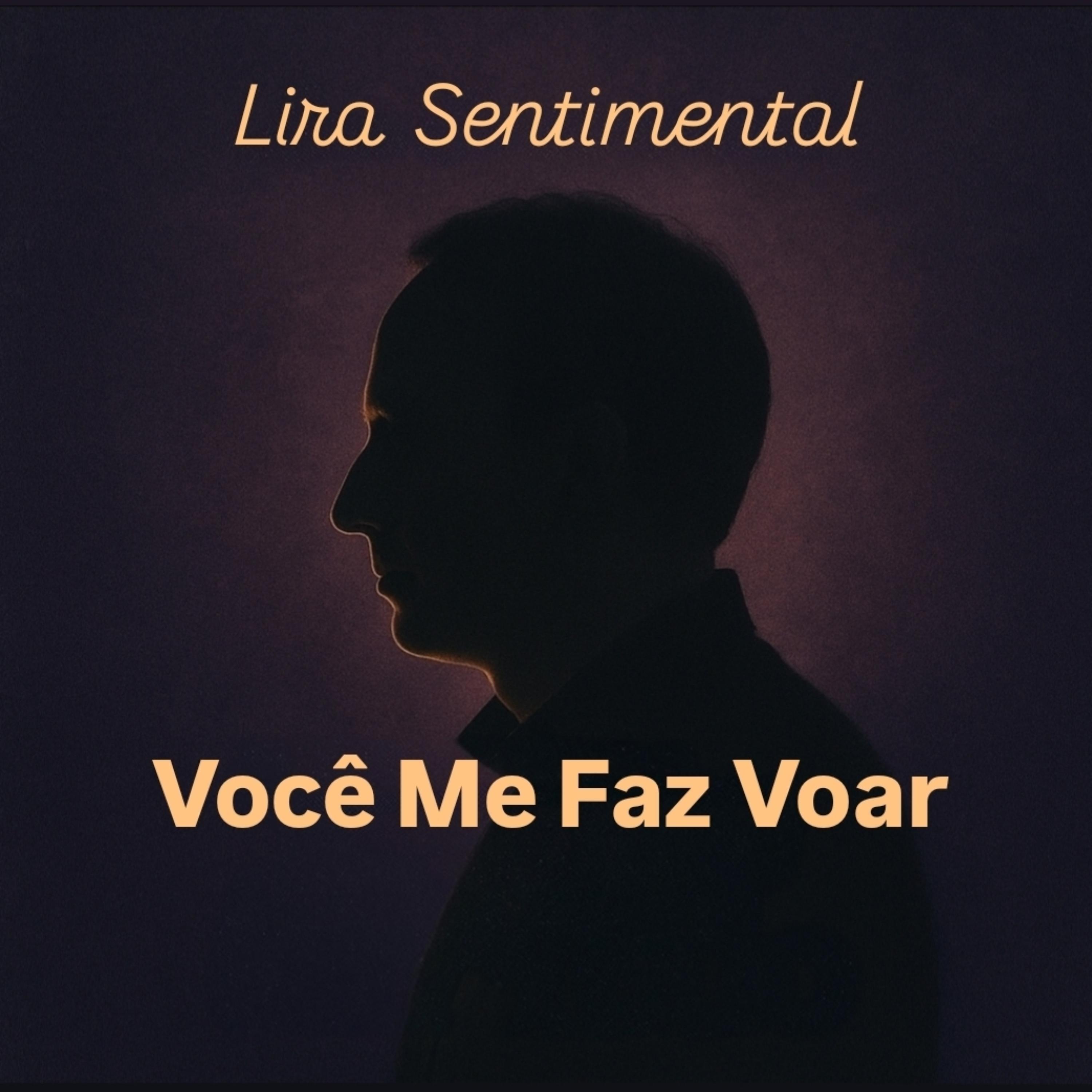 Você Me Faz Voar artwork