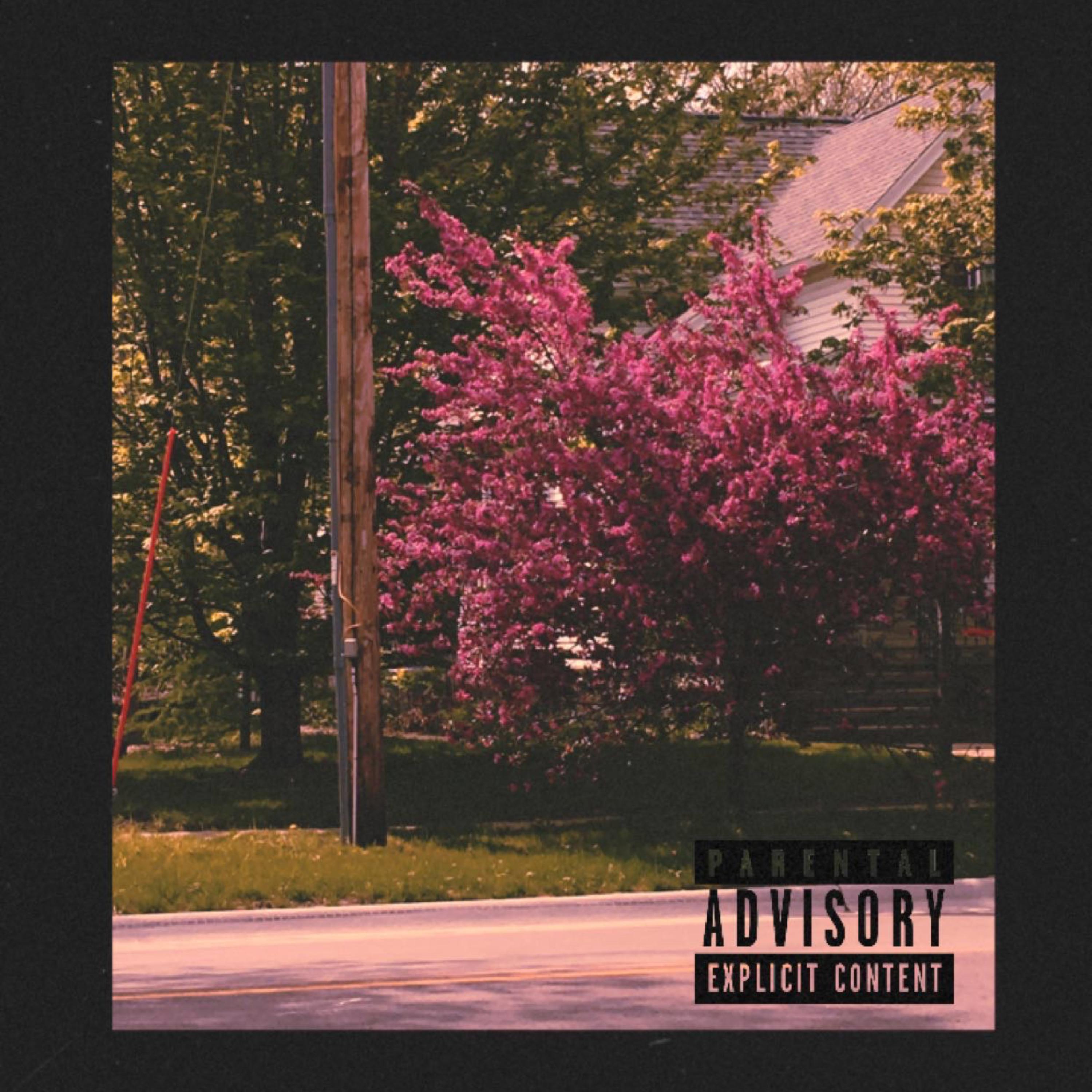 Less & More artwork