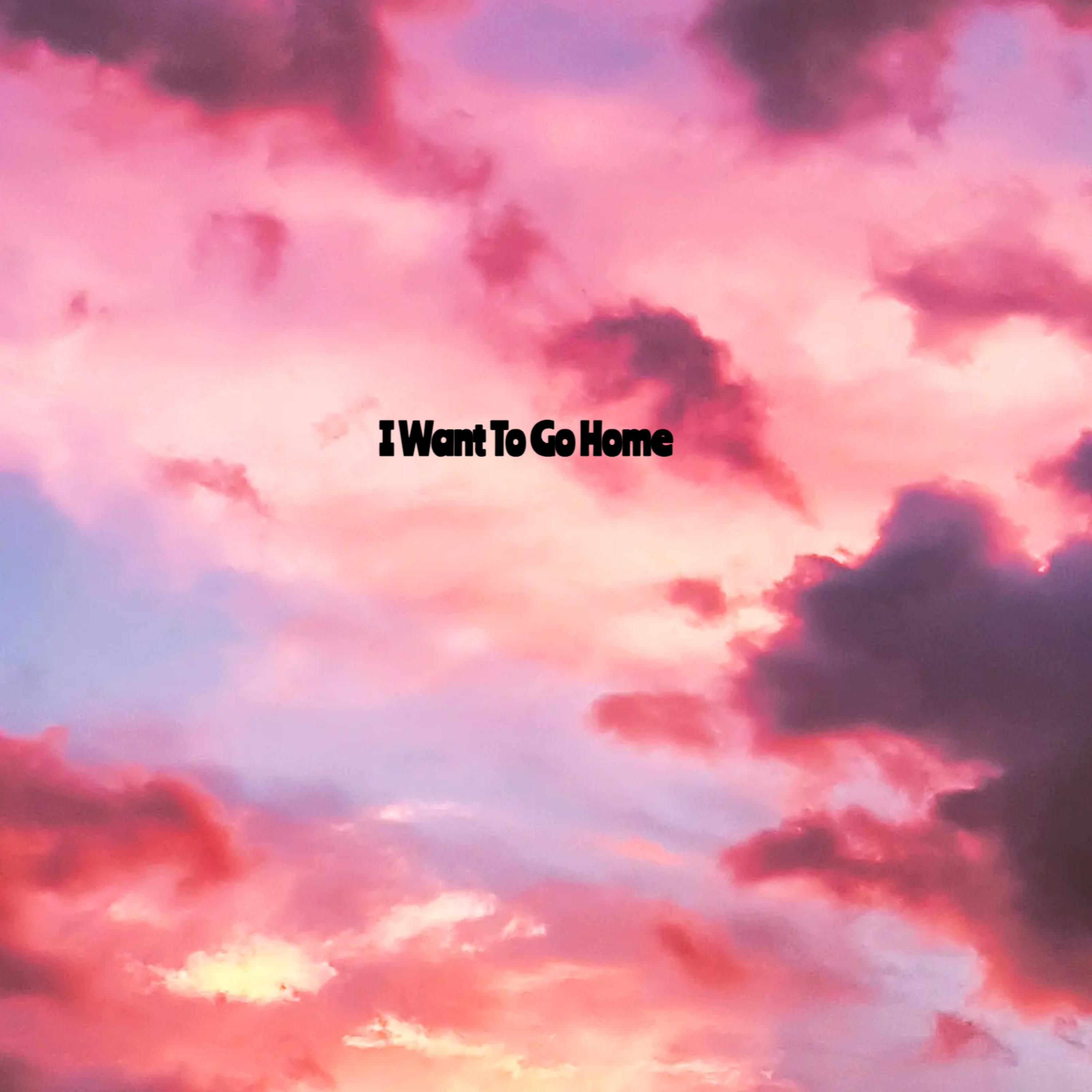 I Want To Go Home artwork