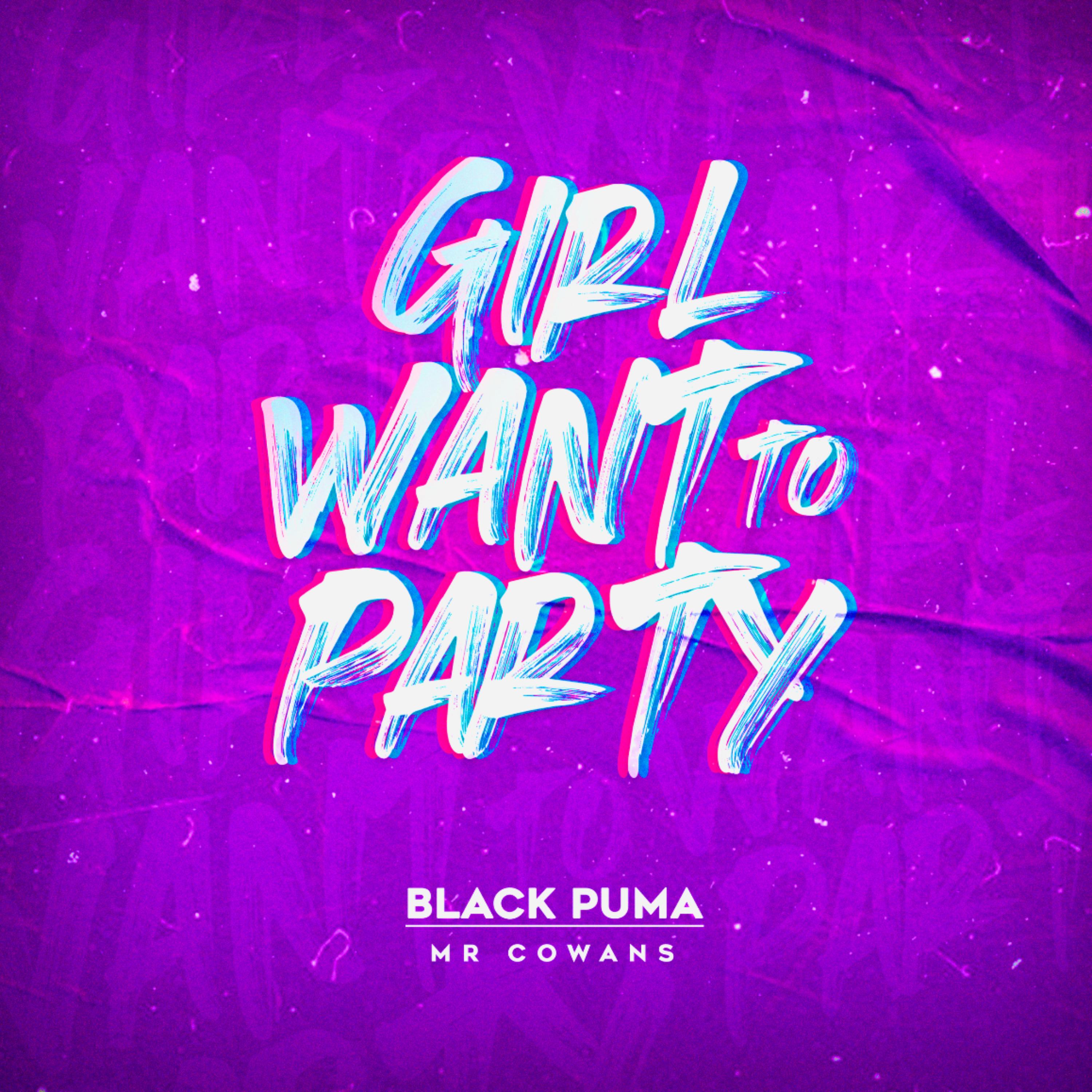 Girl Want To Party artwork