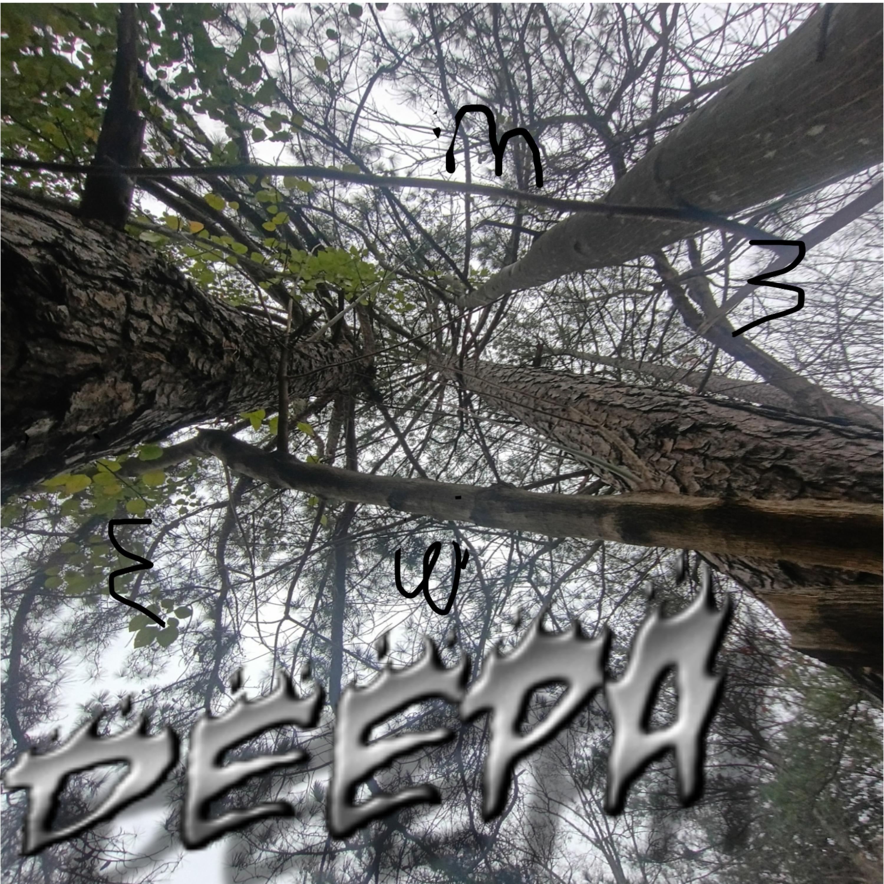 DEEPA artwork