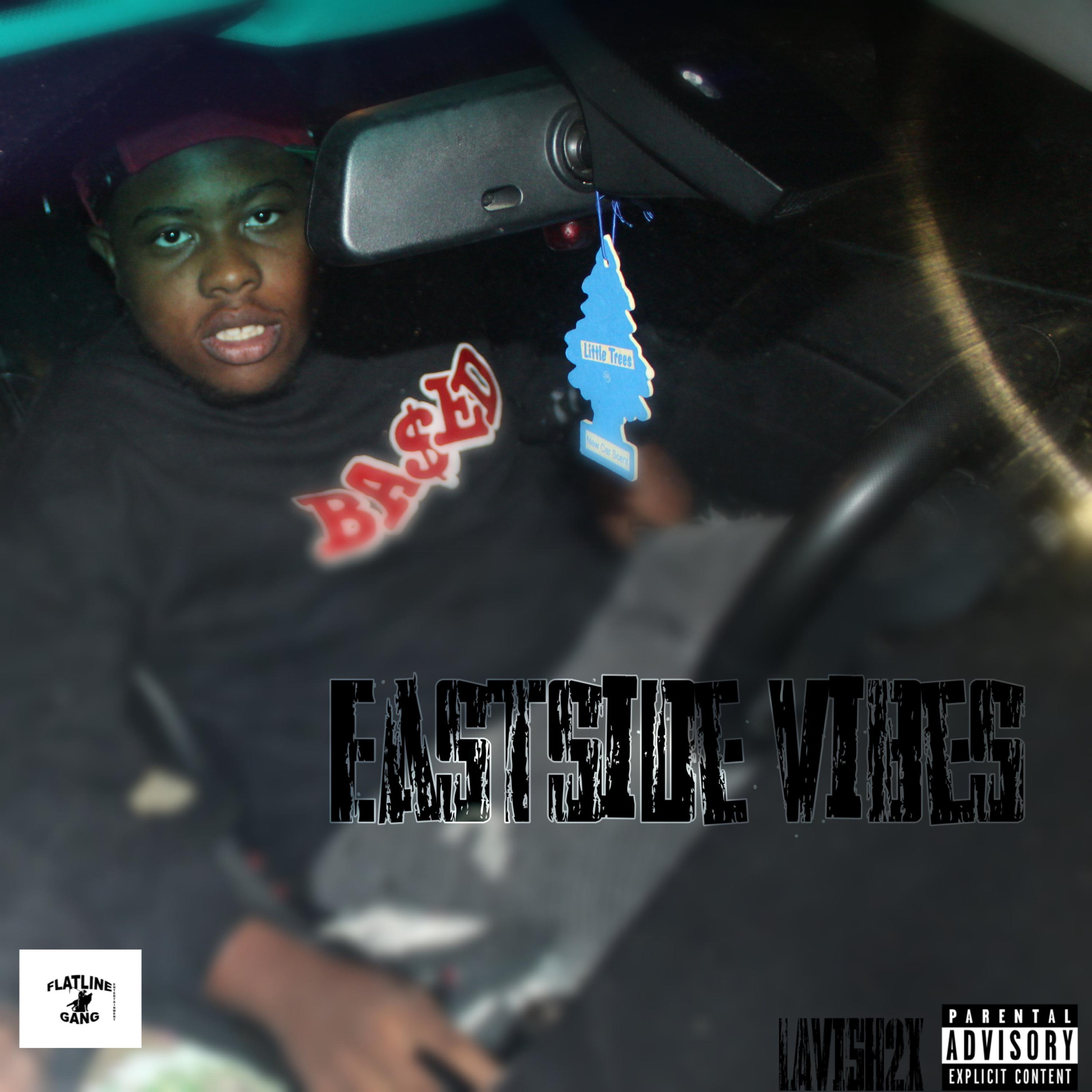 Eastside Vibes by Brando2x cover art