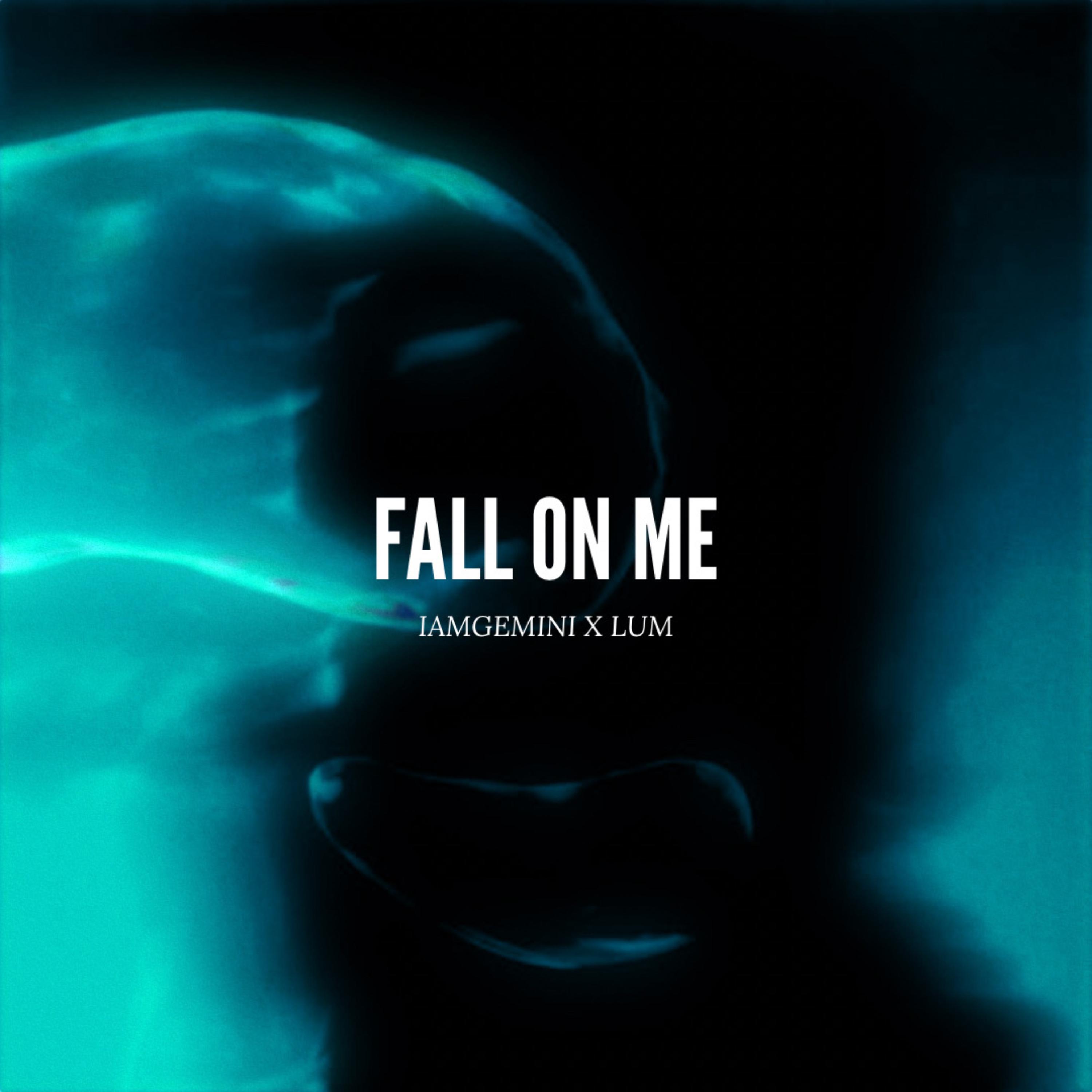 Fall On Me (remixes) by IAMGEMINI cover art