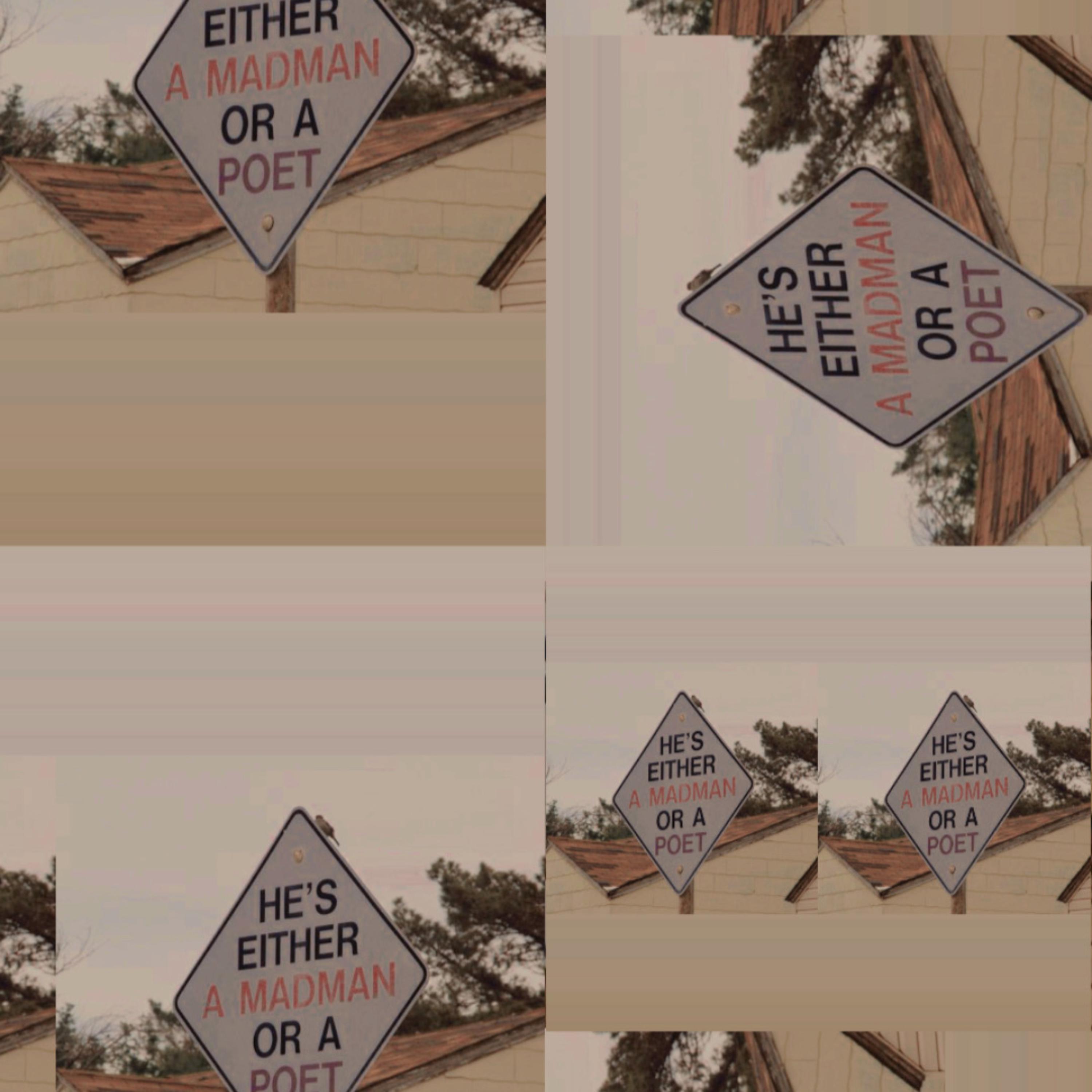 Where do we go from here? artwork