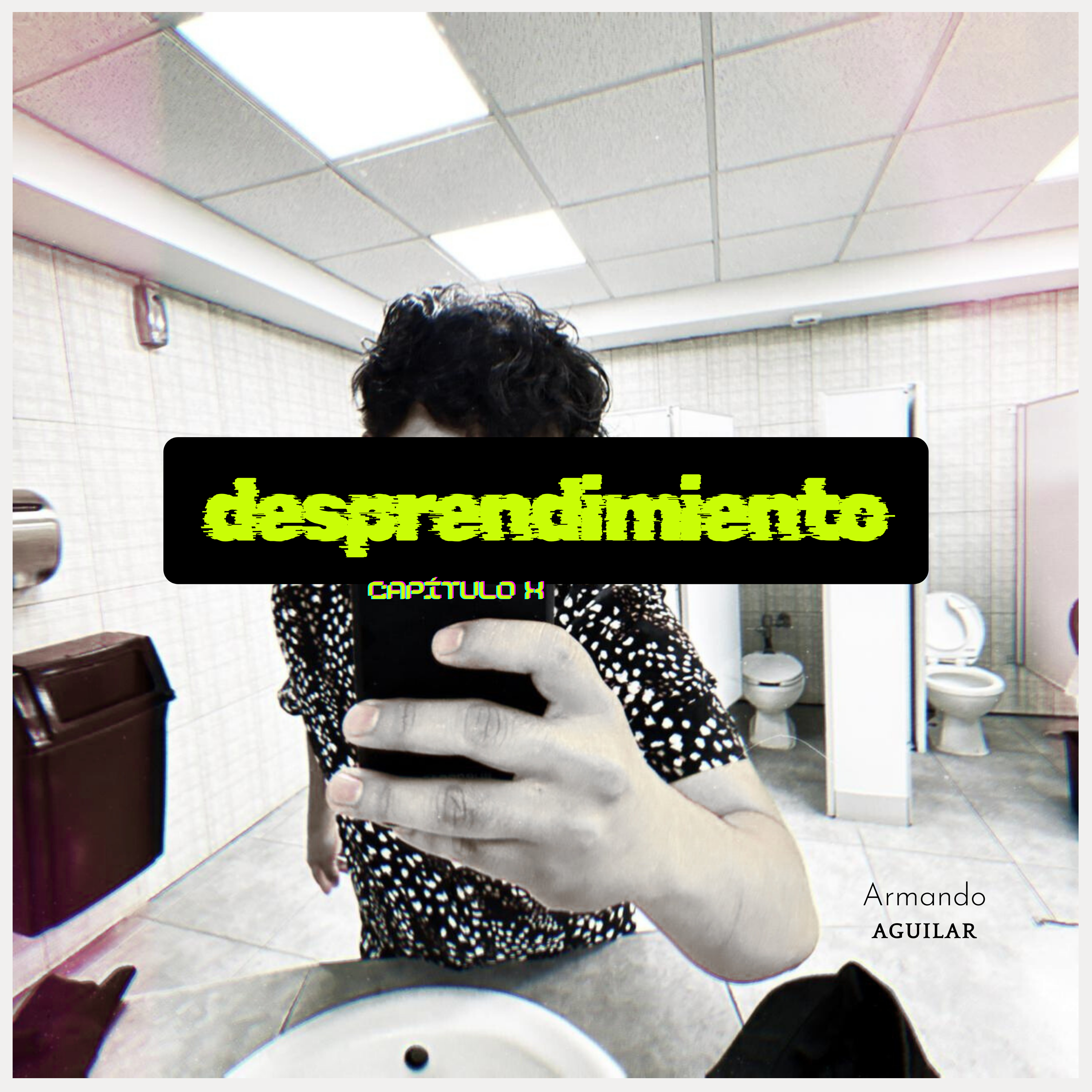 Desprendimiento Capítulo X artwork