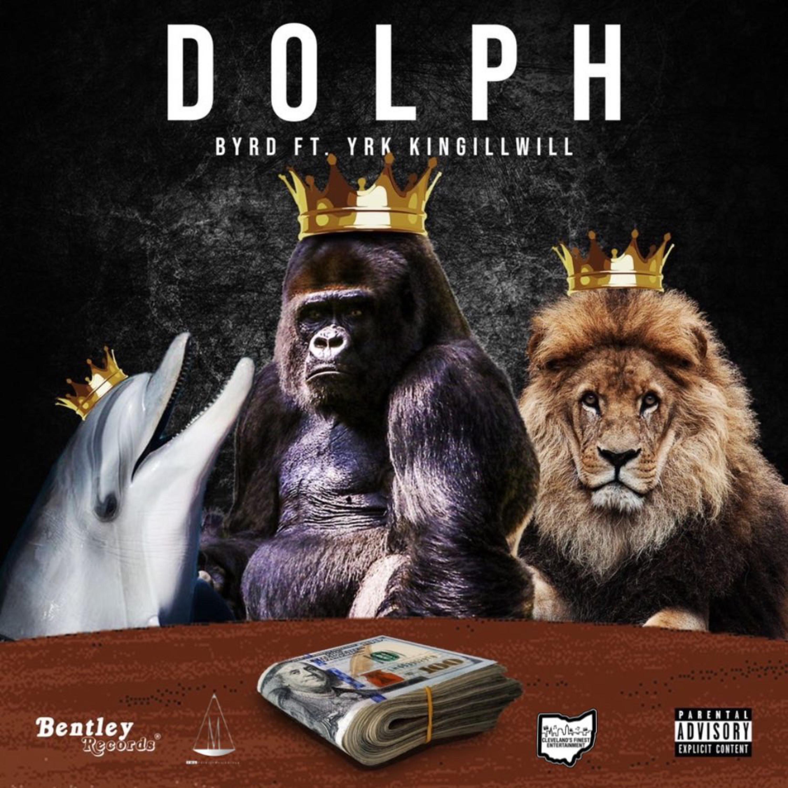 DOLPH artwork