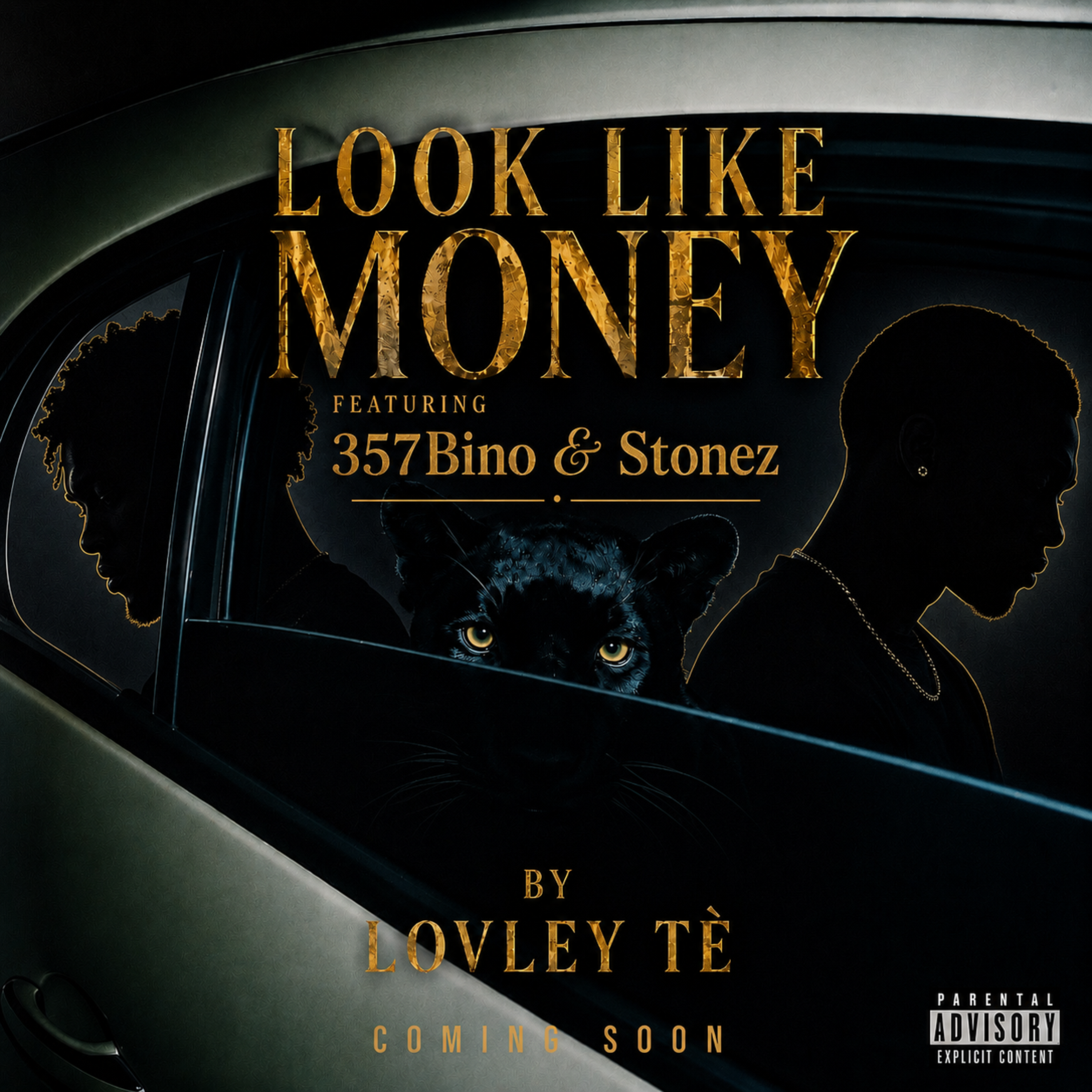 Look Like Money by Lovley Tè cover art