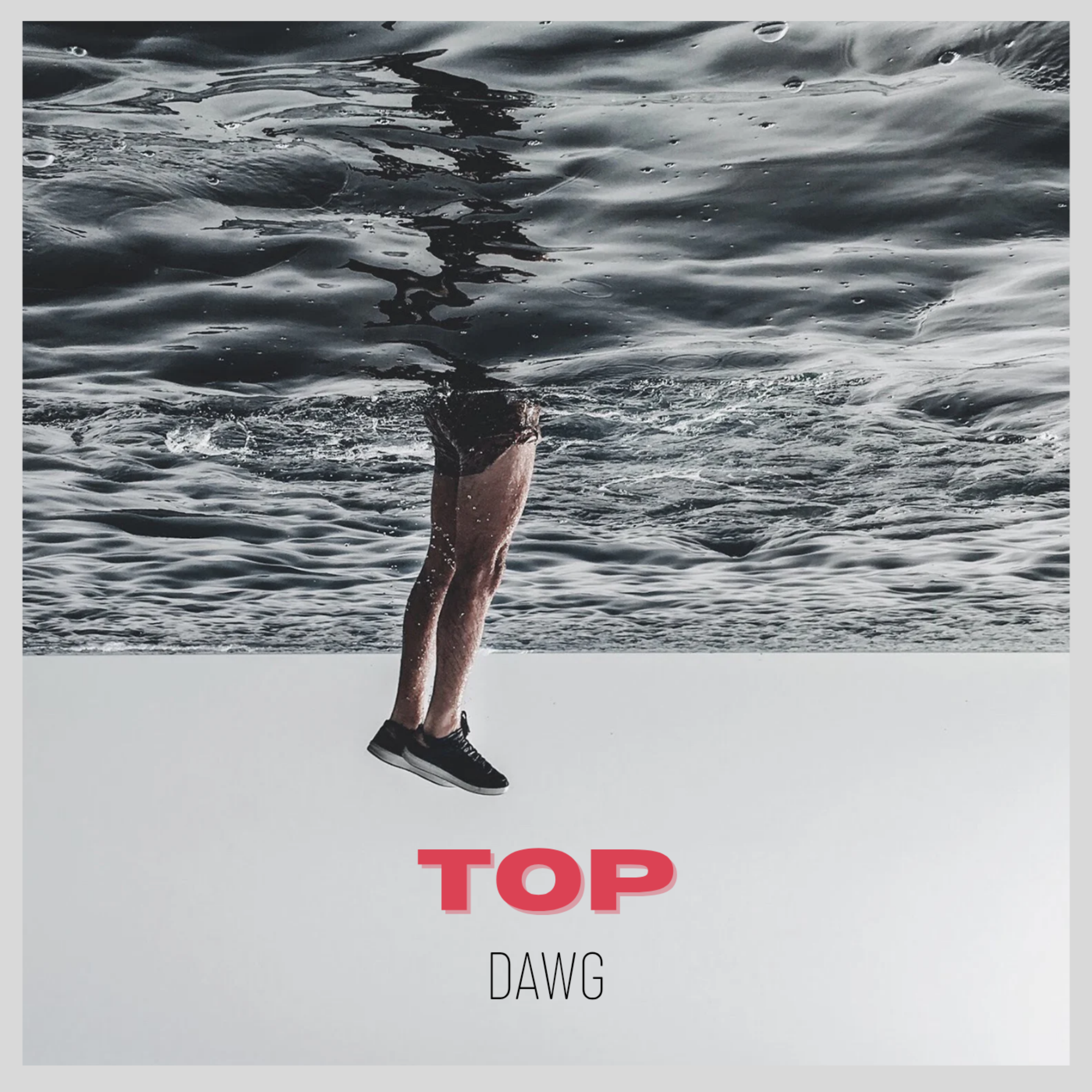 TOP DAWG artwork