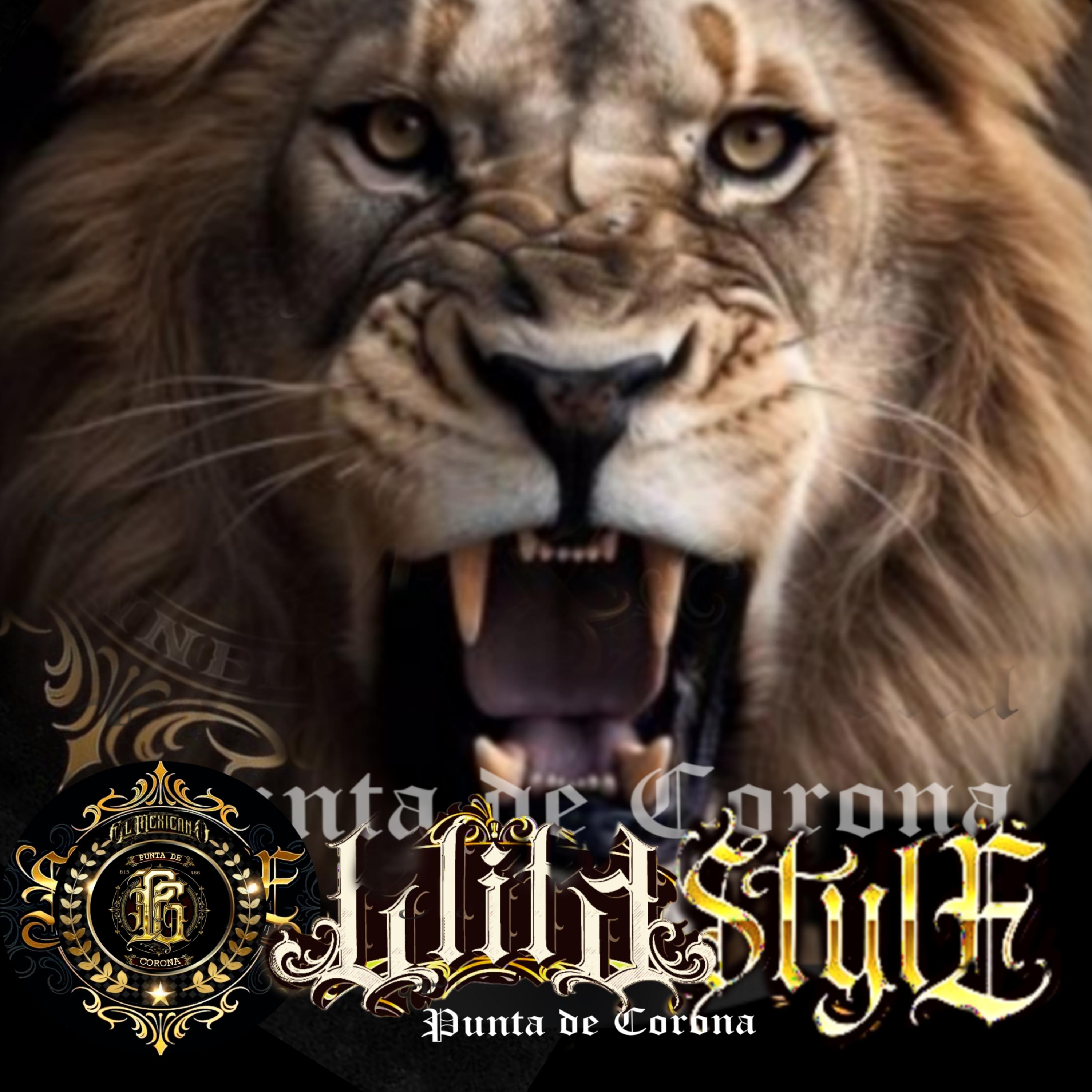 Wildstyle** artwork