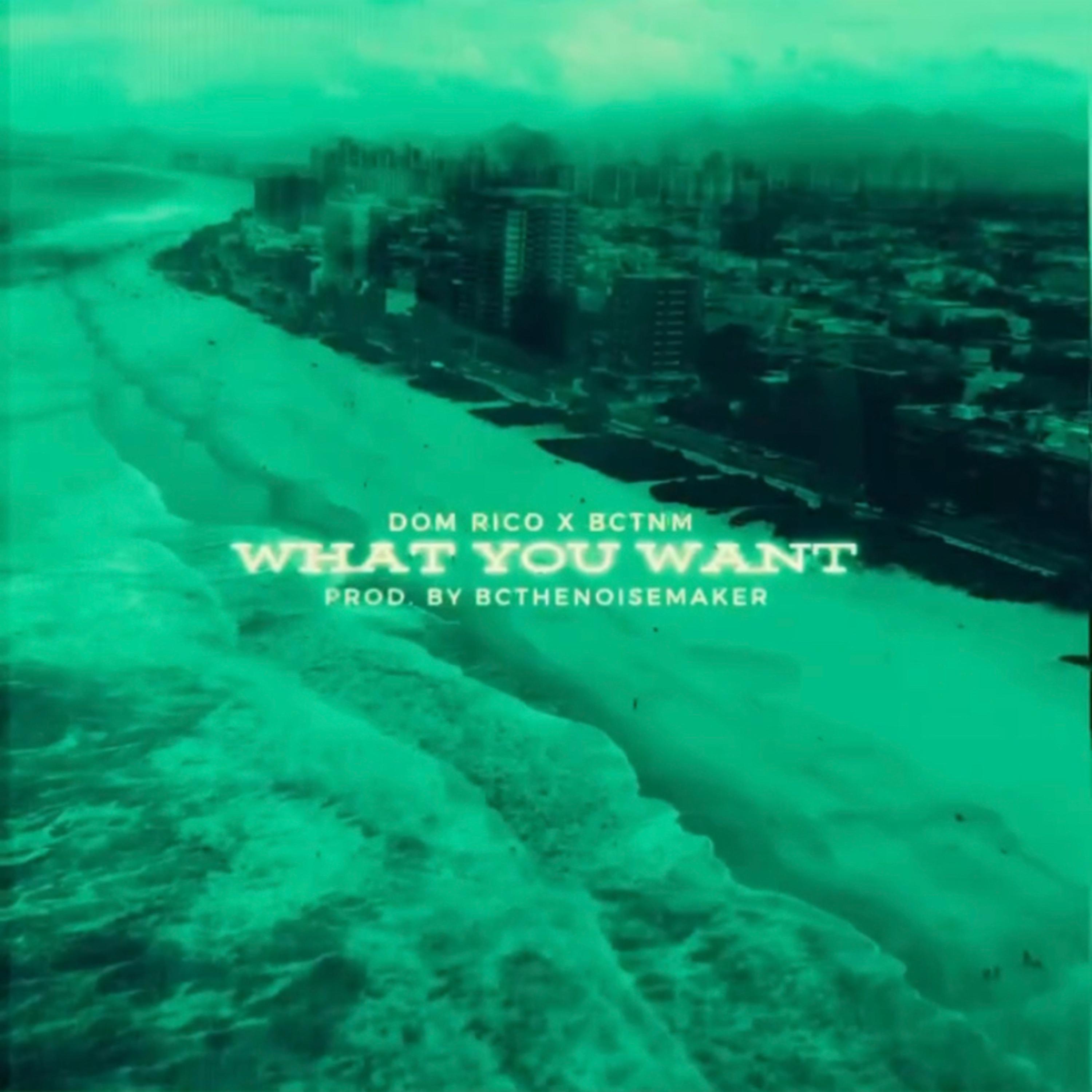 What You Want artwork