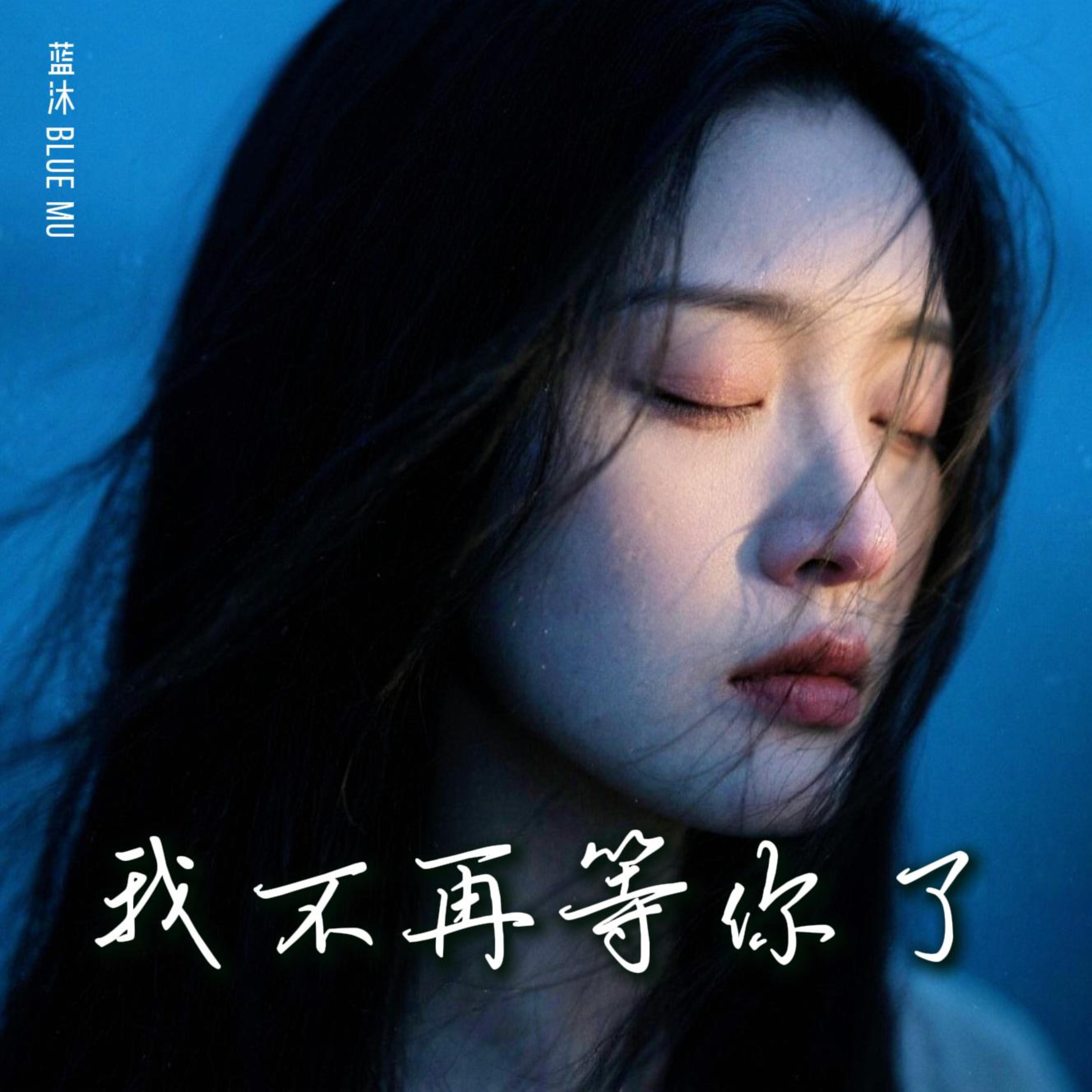 我不再等你了 by 蓝沐 Blue Mu cover art