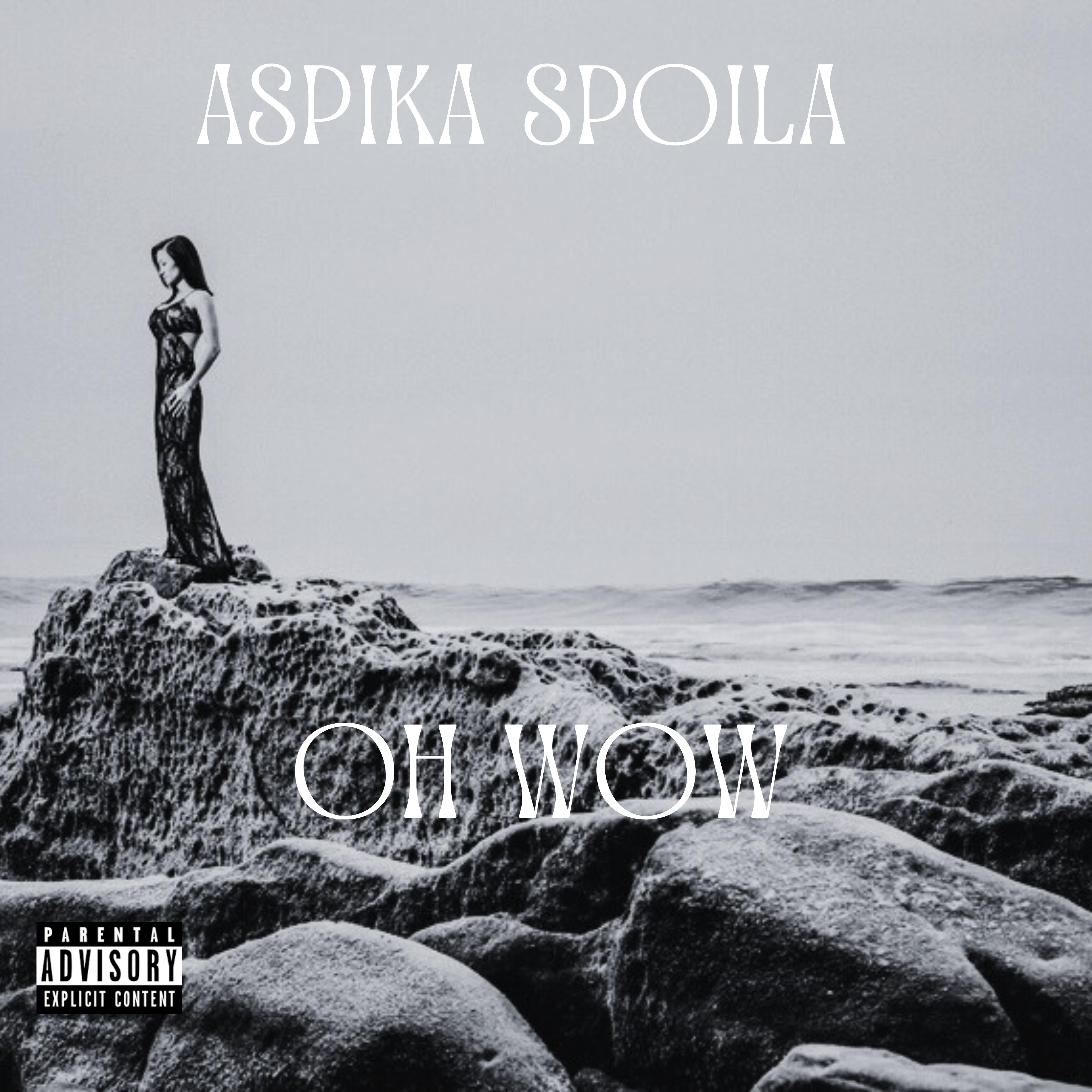 Oh Wow artwork