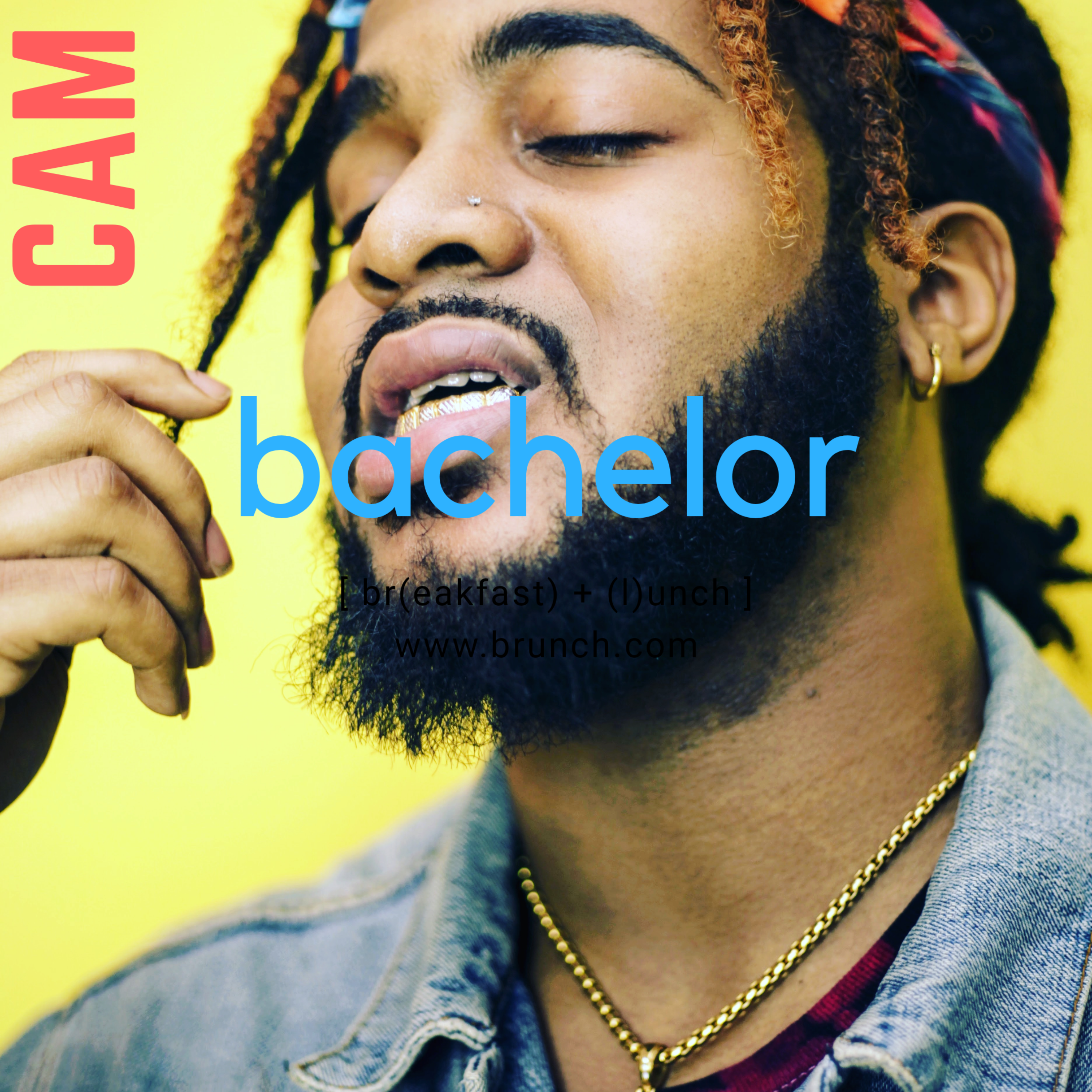 BACHELOR artwork