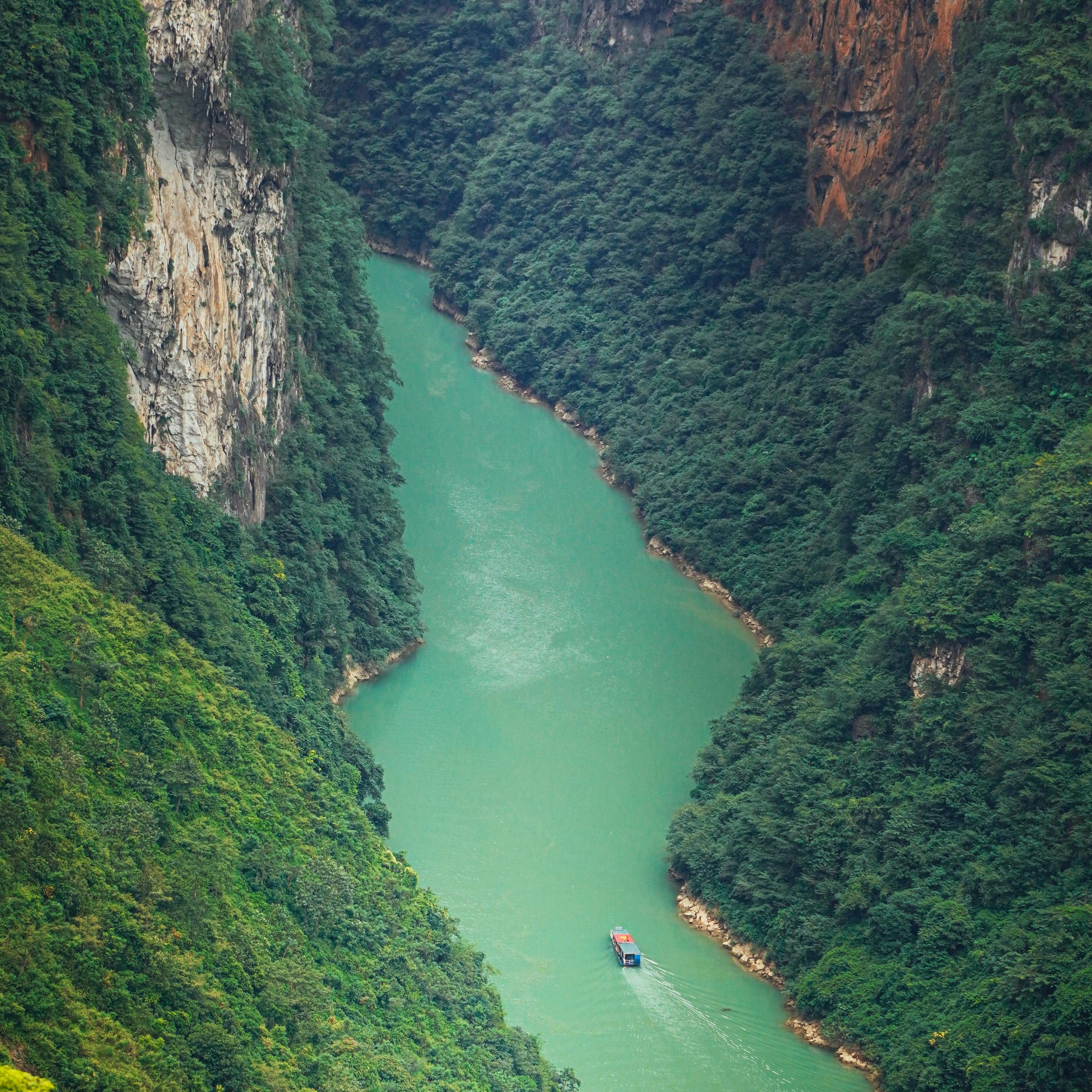 Mi Campo Querido artwork