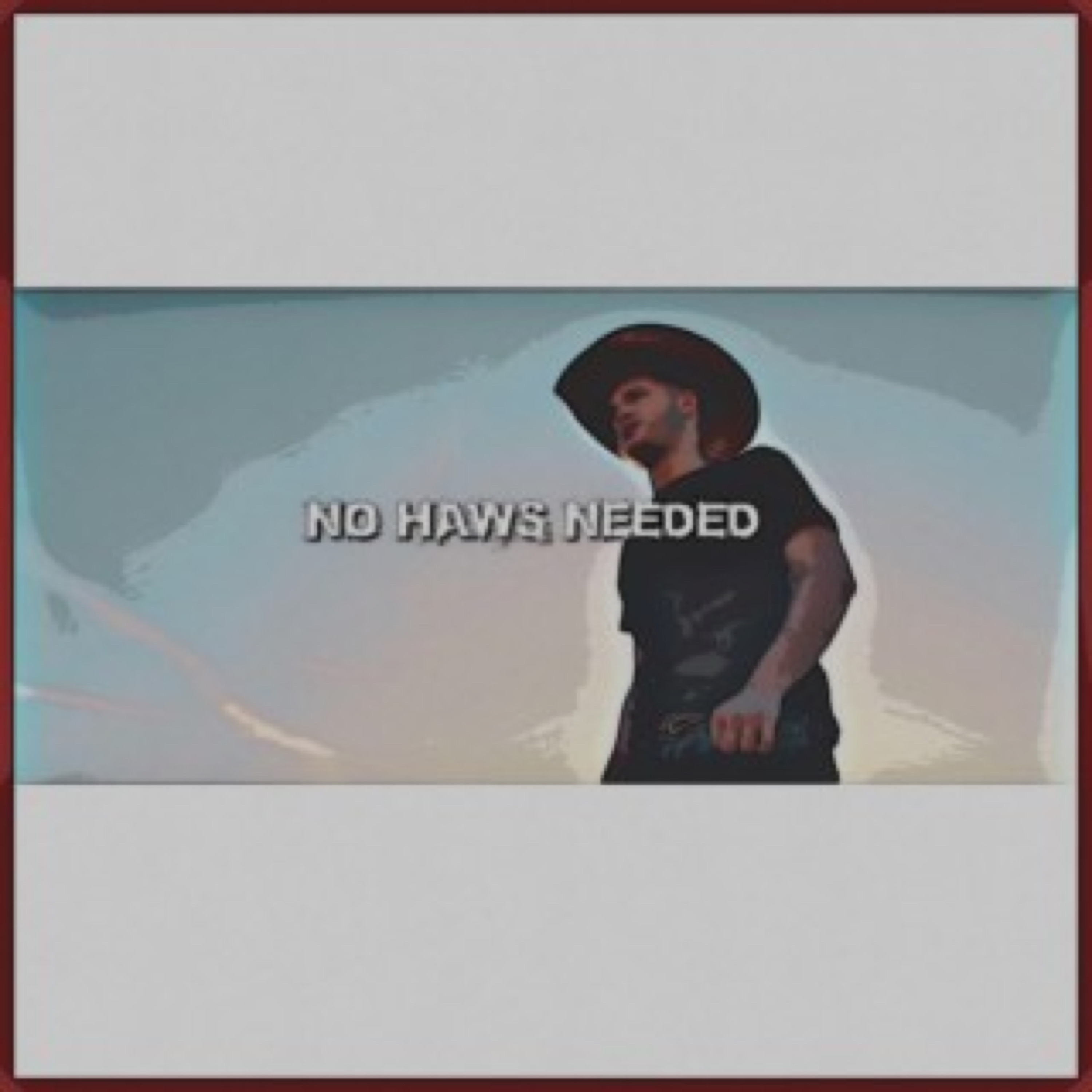 No Haws Needed artwork