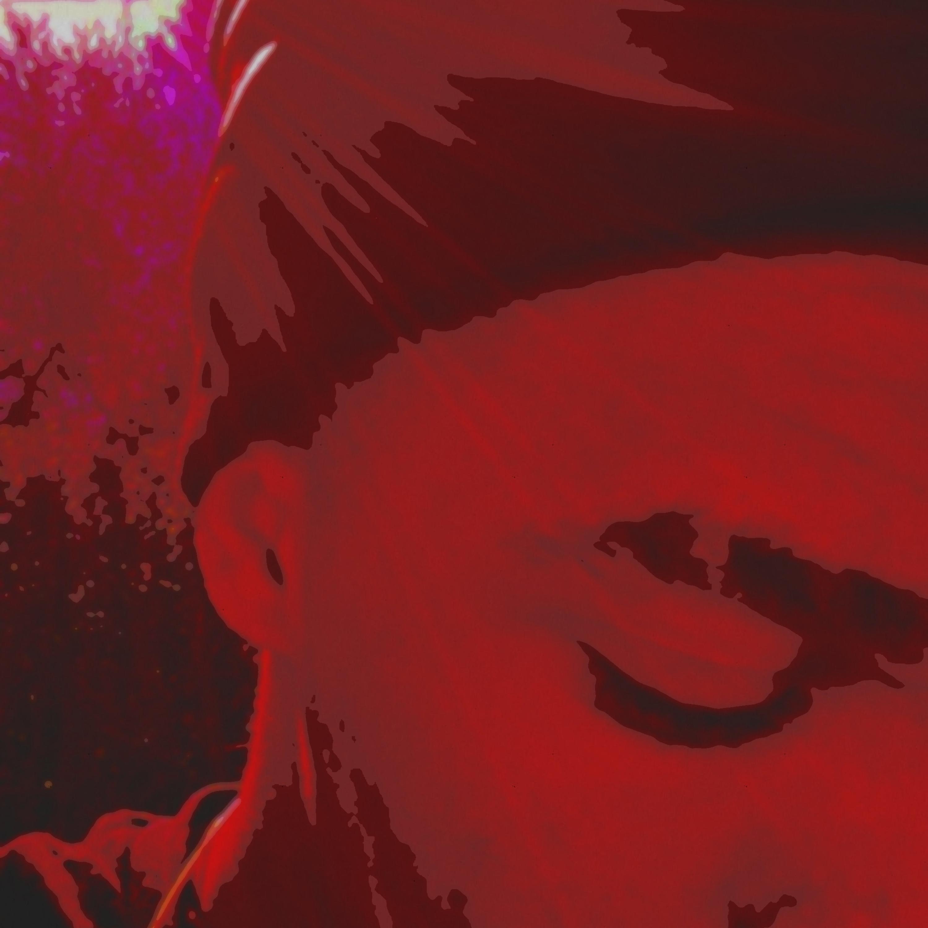 FR ! artwork