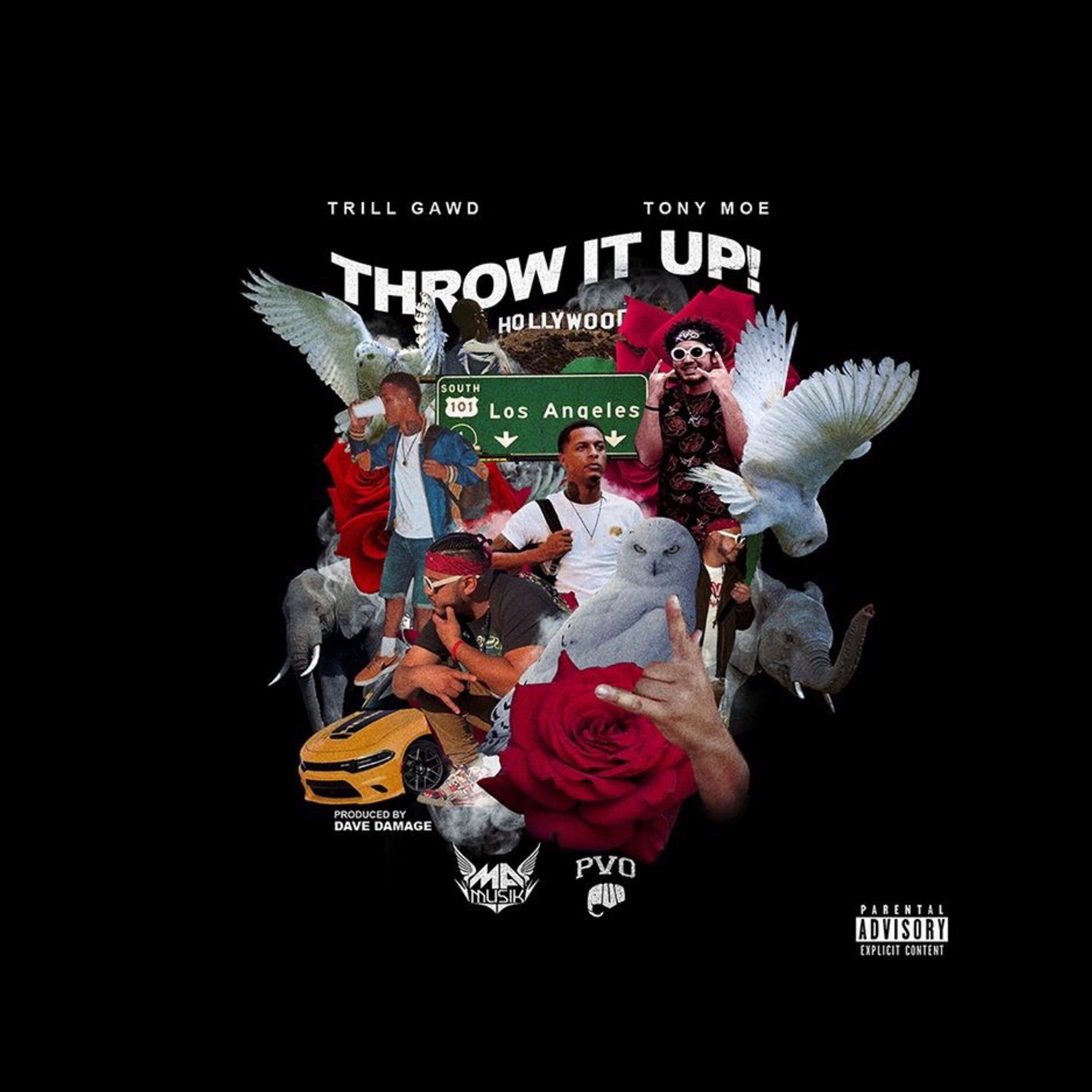 Throw It Up! artwork