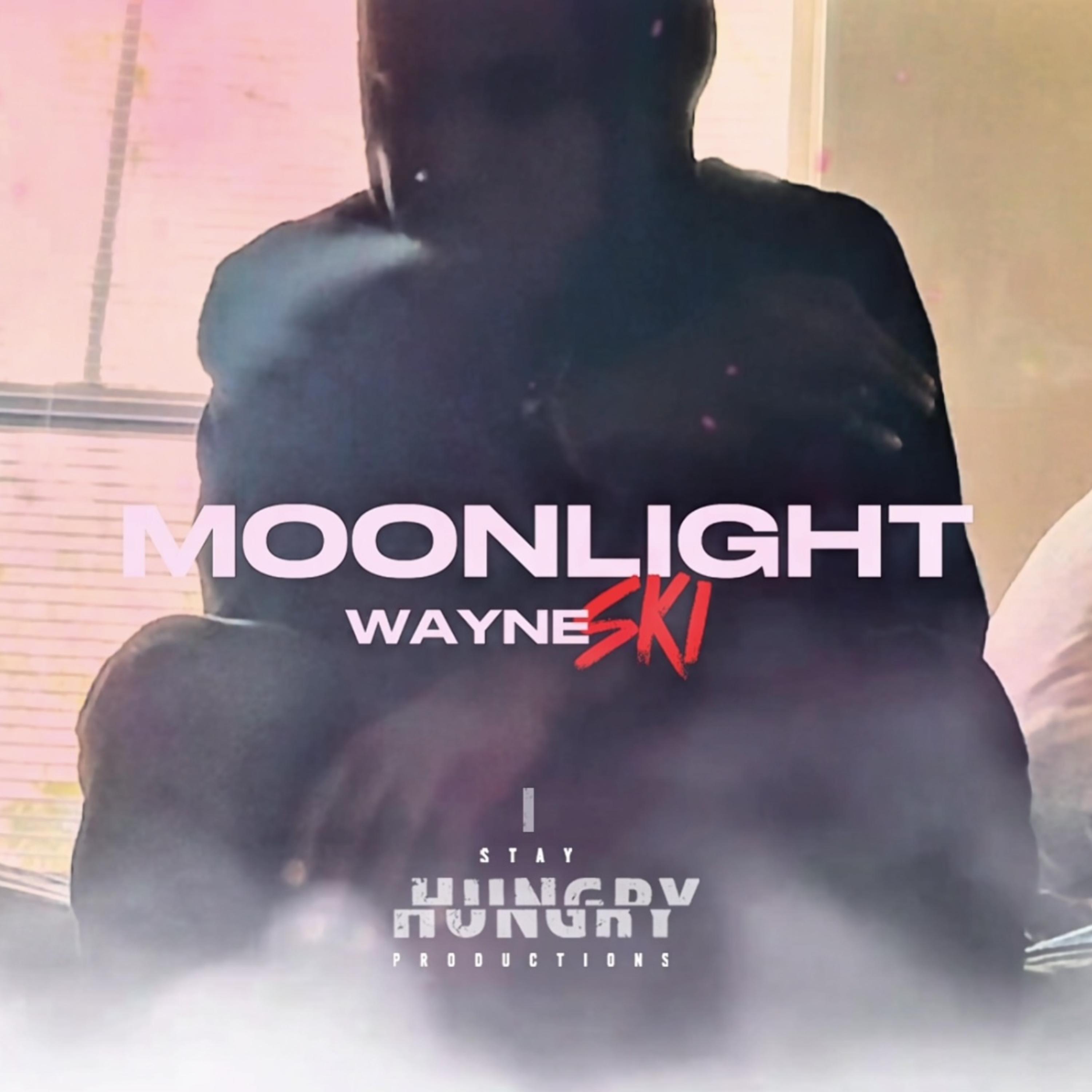 Moonlight by Wayne SKI cover art