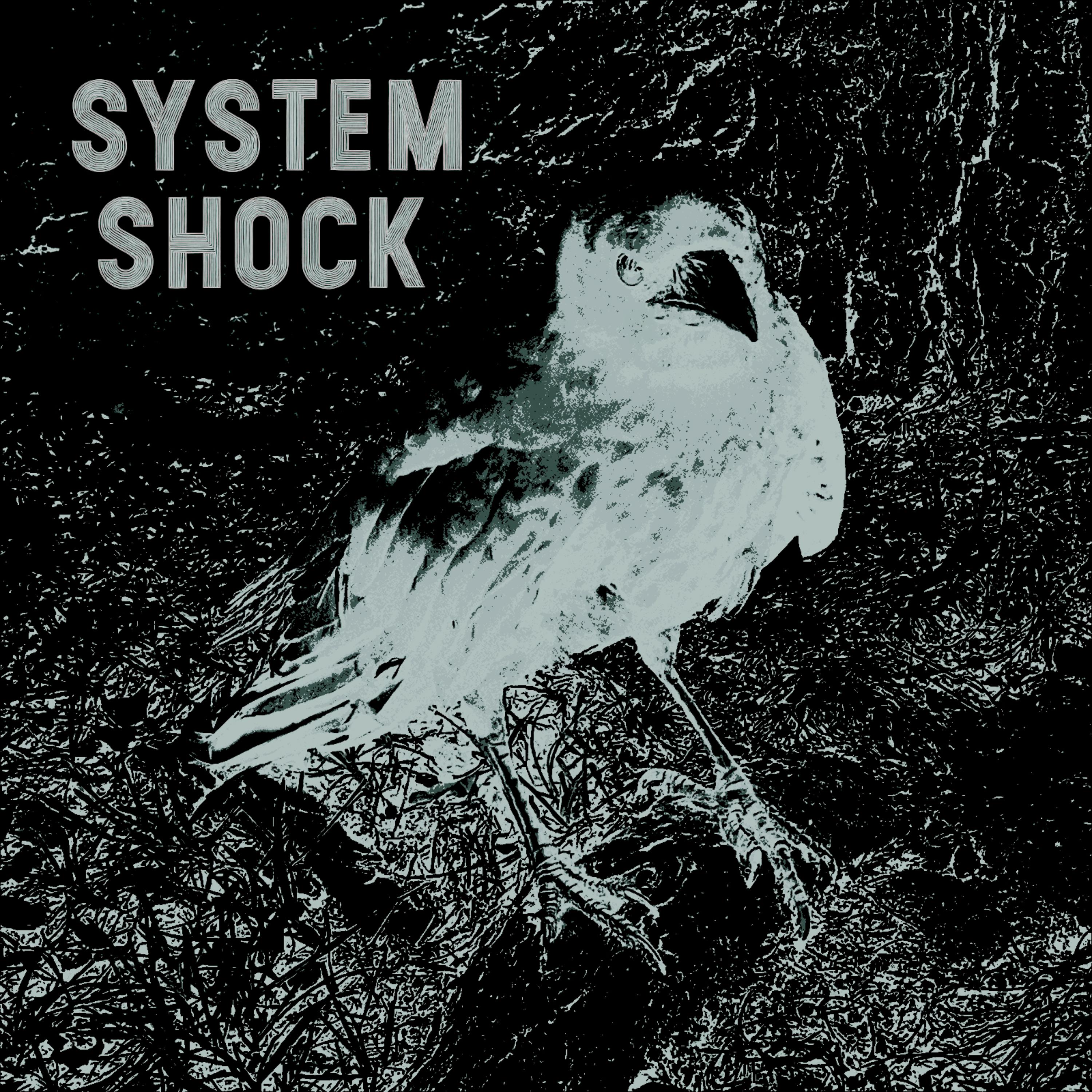 System Shock artwork