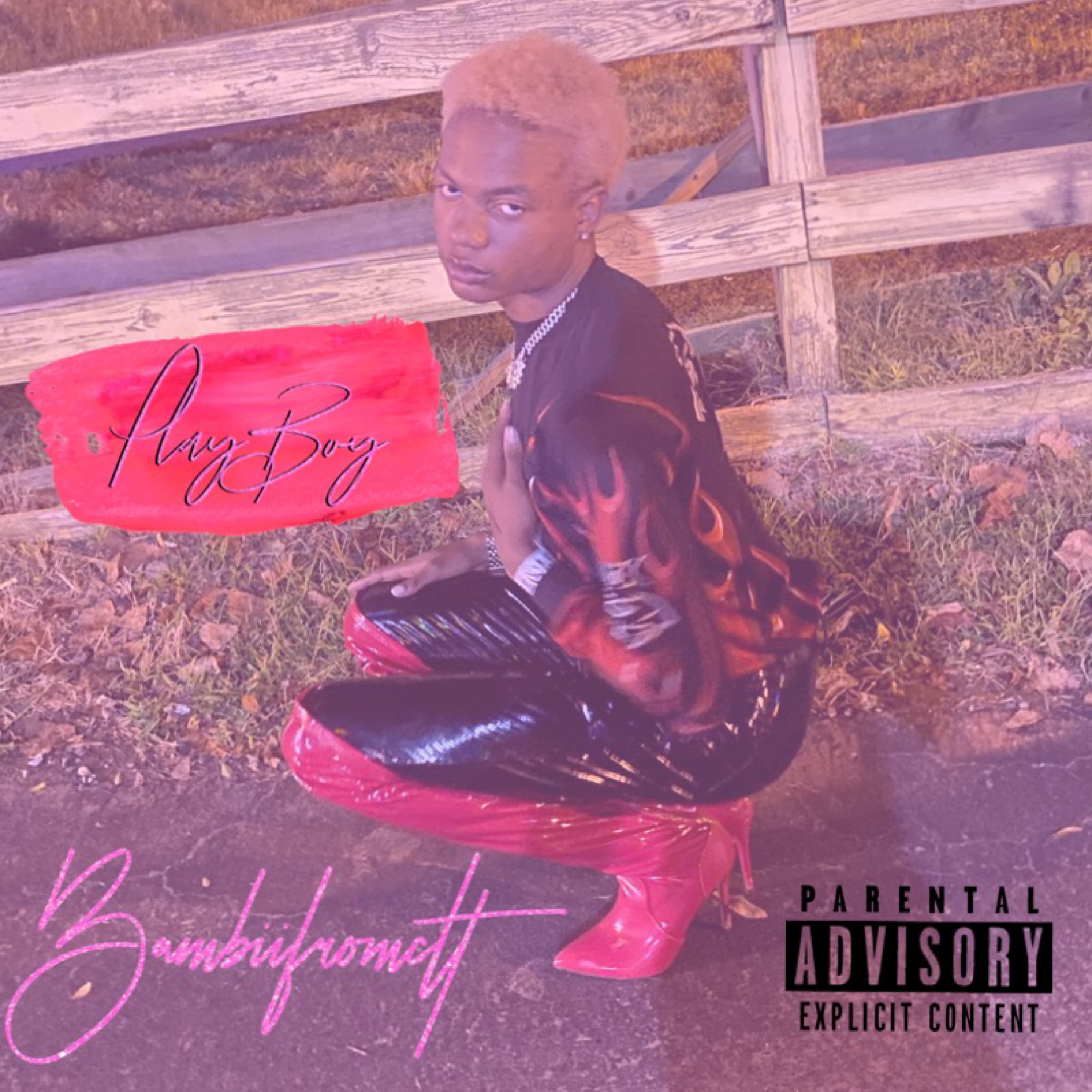 PLAYBOY artwork