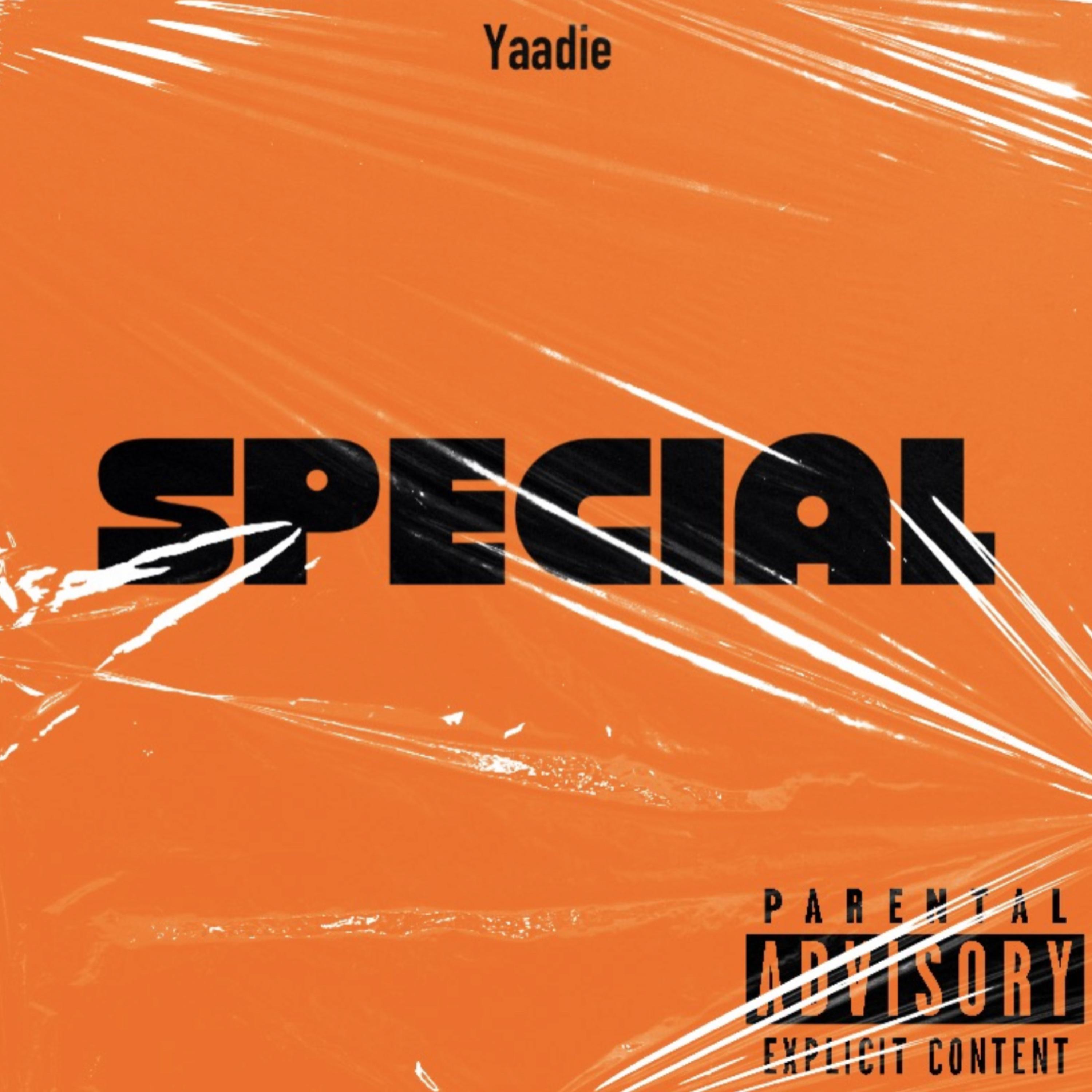 Special artwork