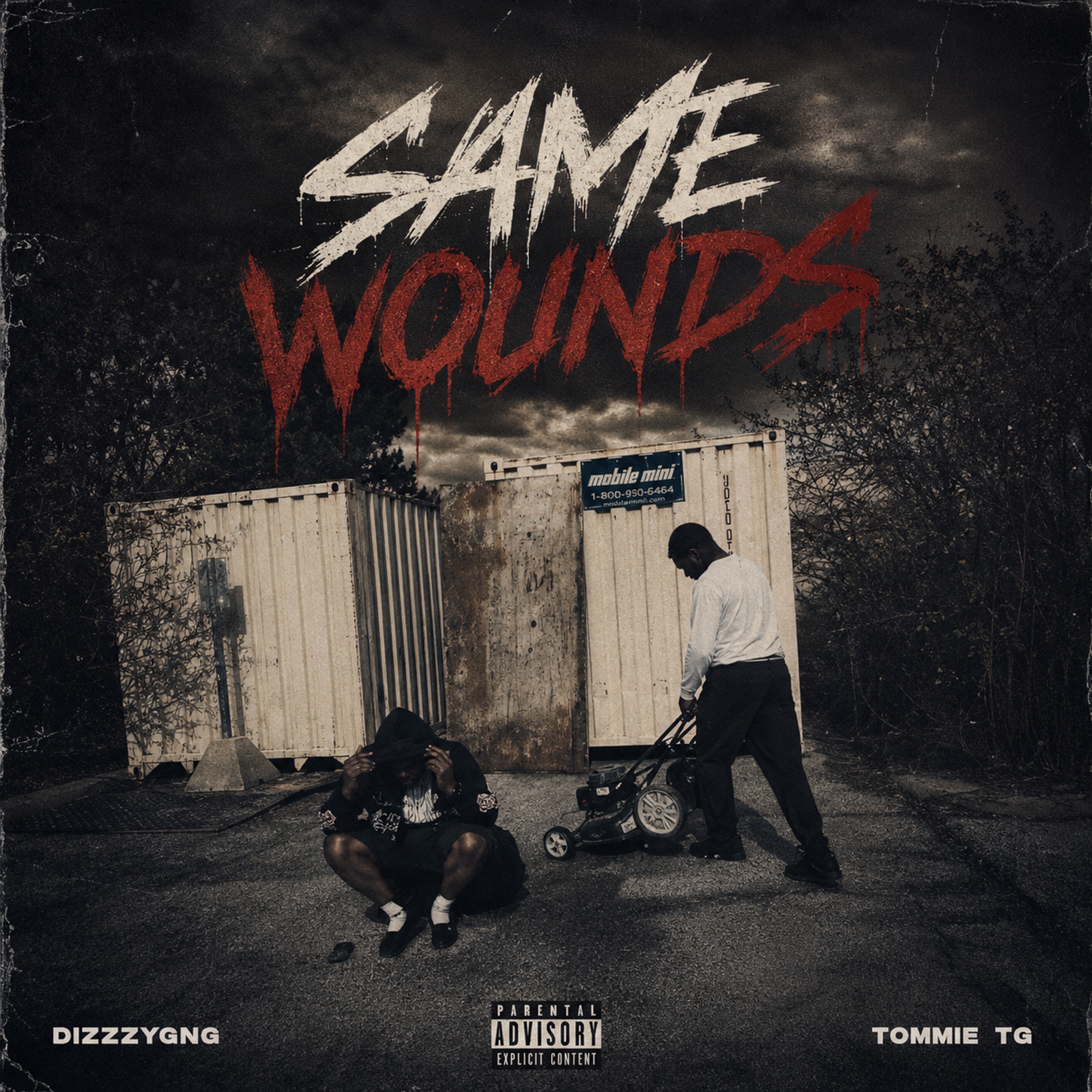 SAME WOUNDS PAIN SPECIAL by Dizzzygng cover art
