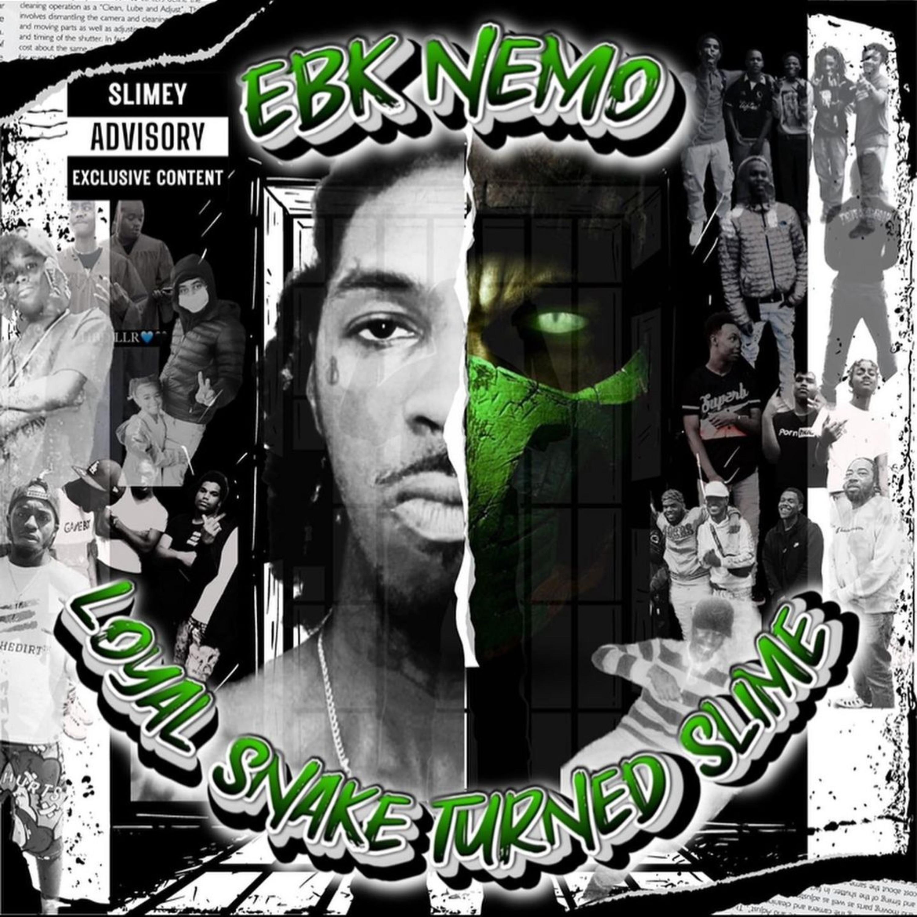 Loyal Snake Turned Slime artwork