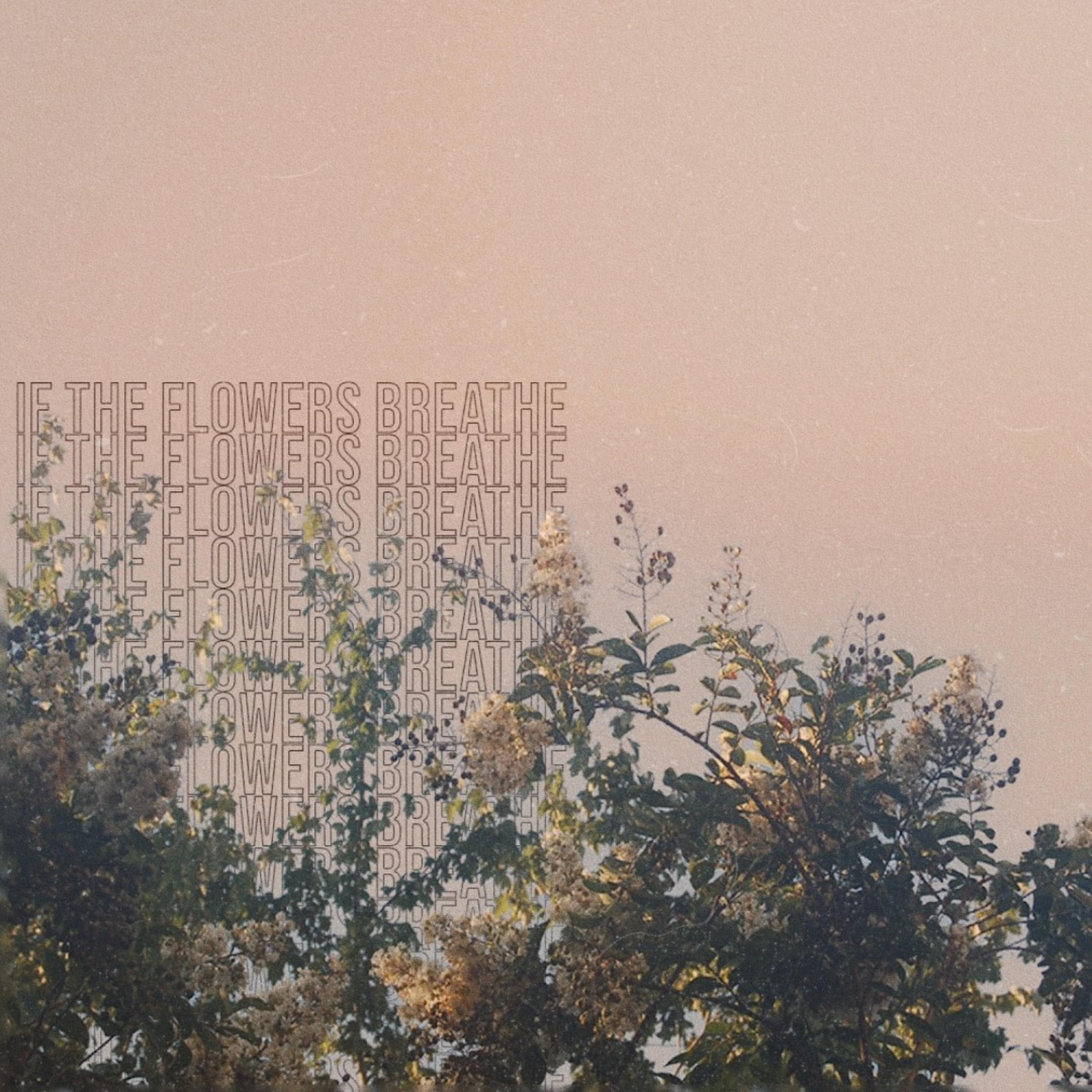 If The Flowers Breathe artwork