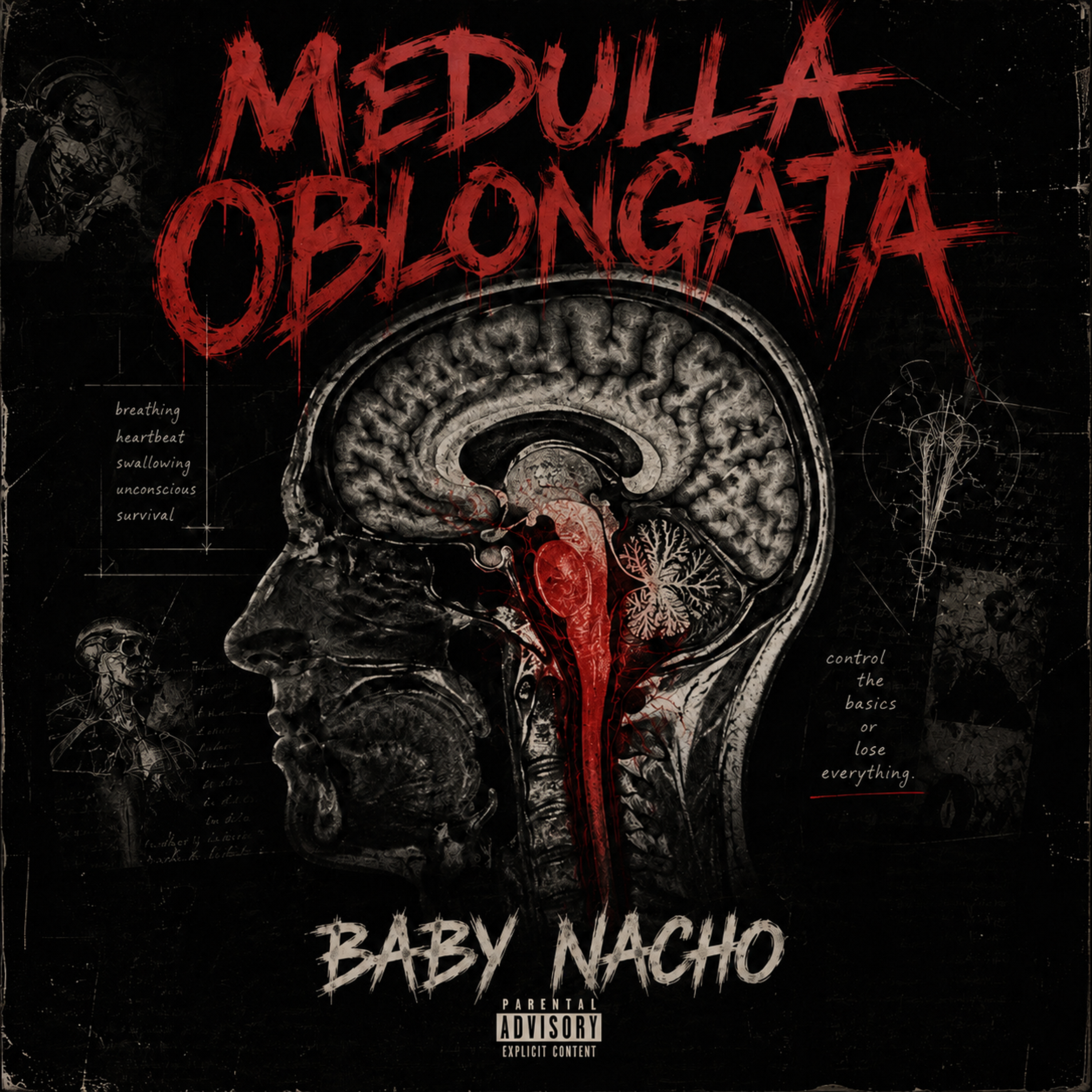 Medulla Oblongata by Baby Nacho cover art