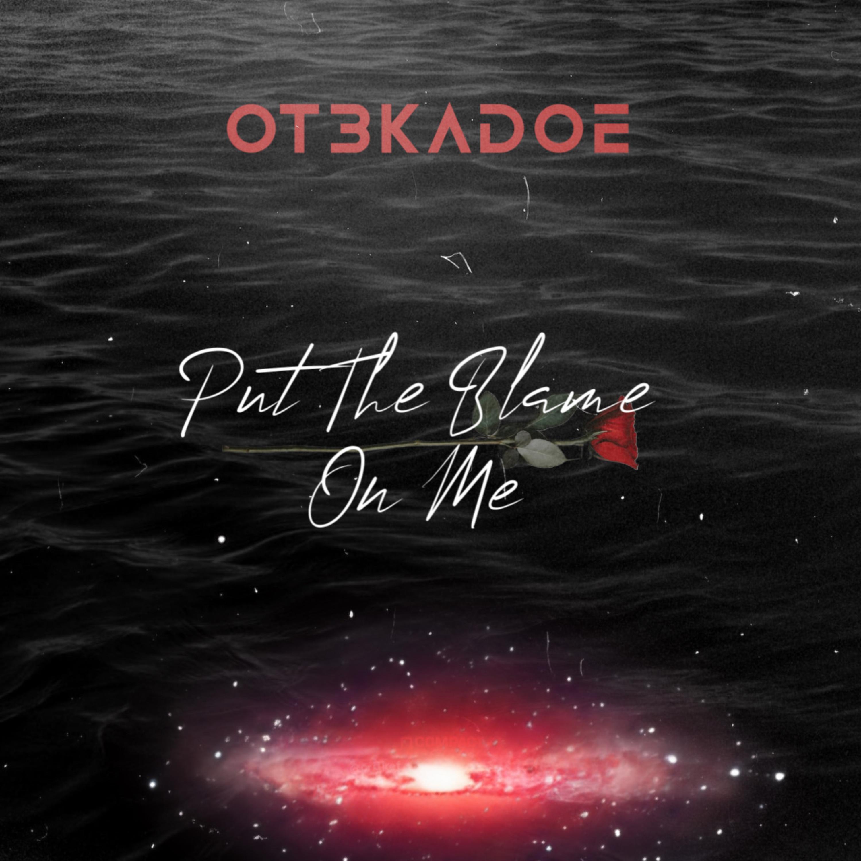 Put The blame On me artwork