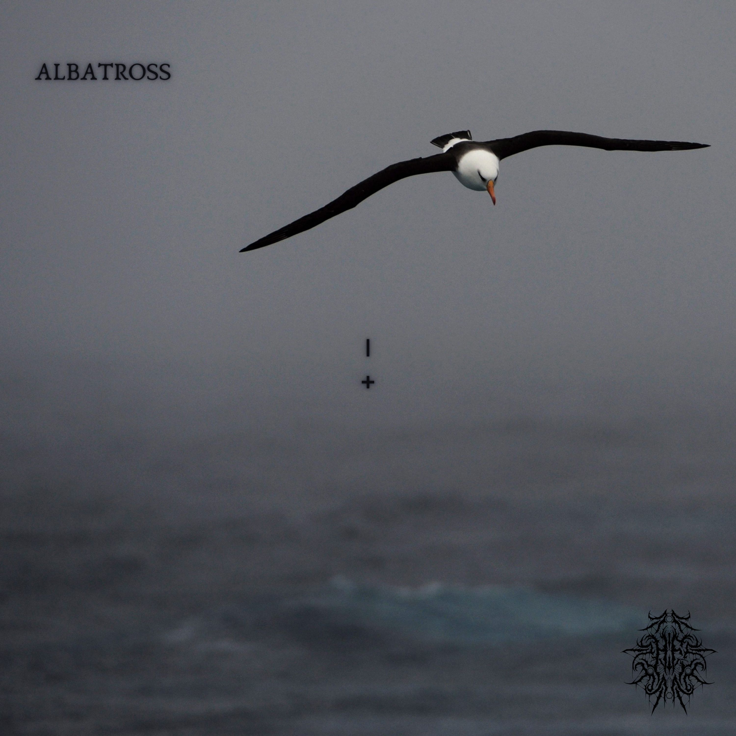 Albatross artwork