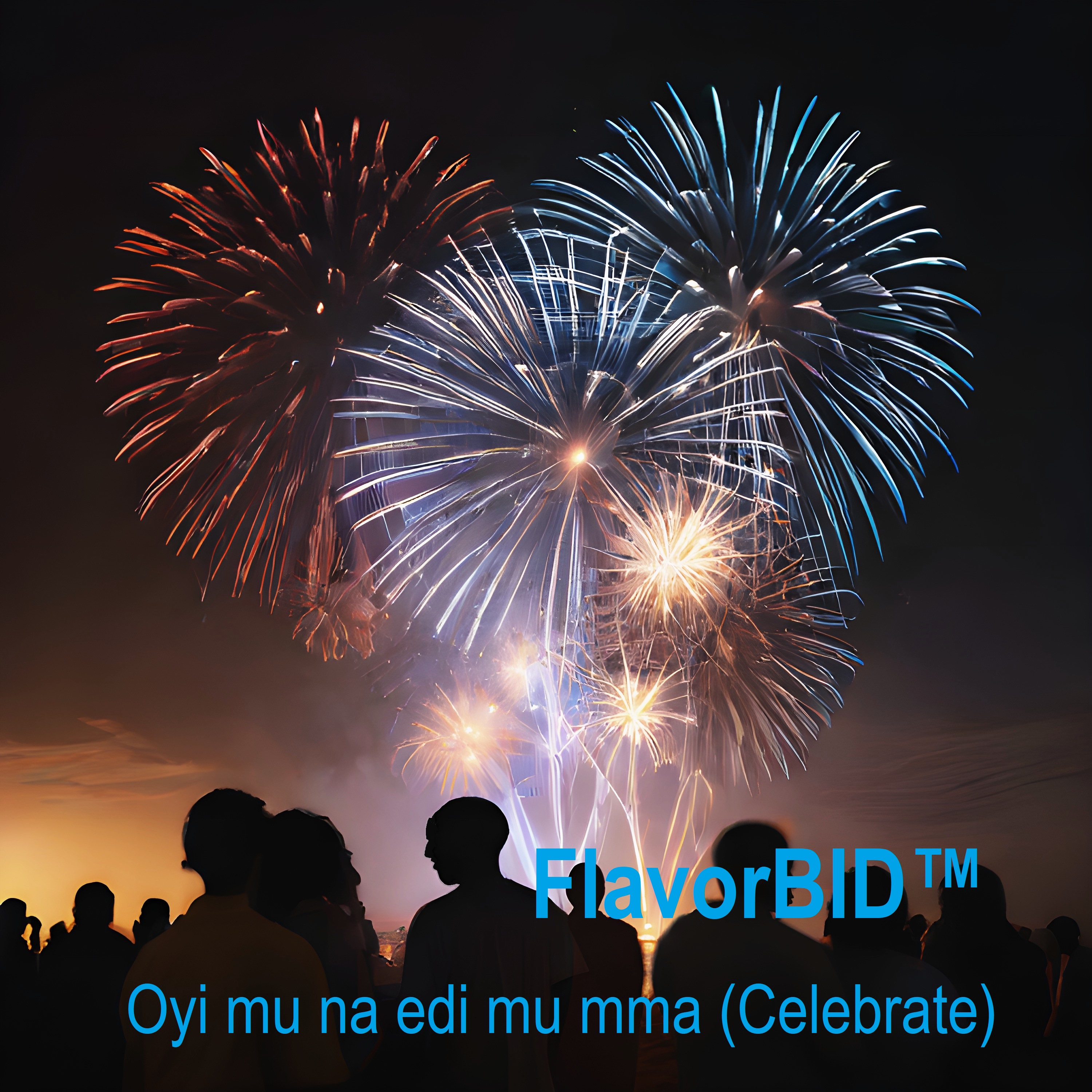 Oyi mu na edi mu mma (Celebrate) artwork