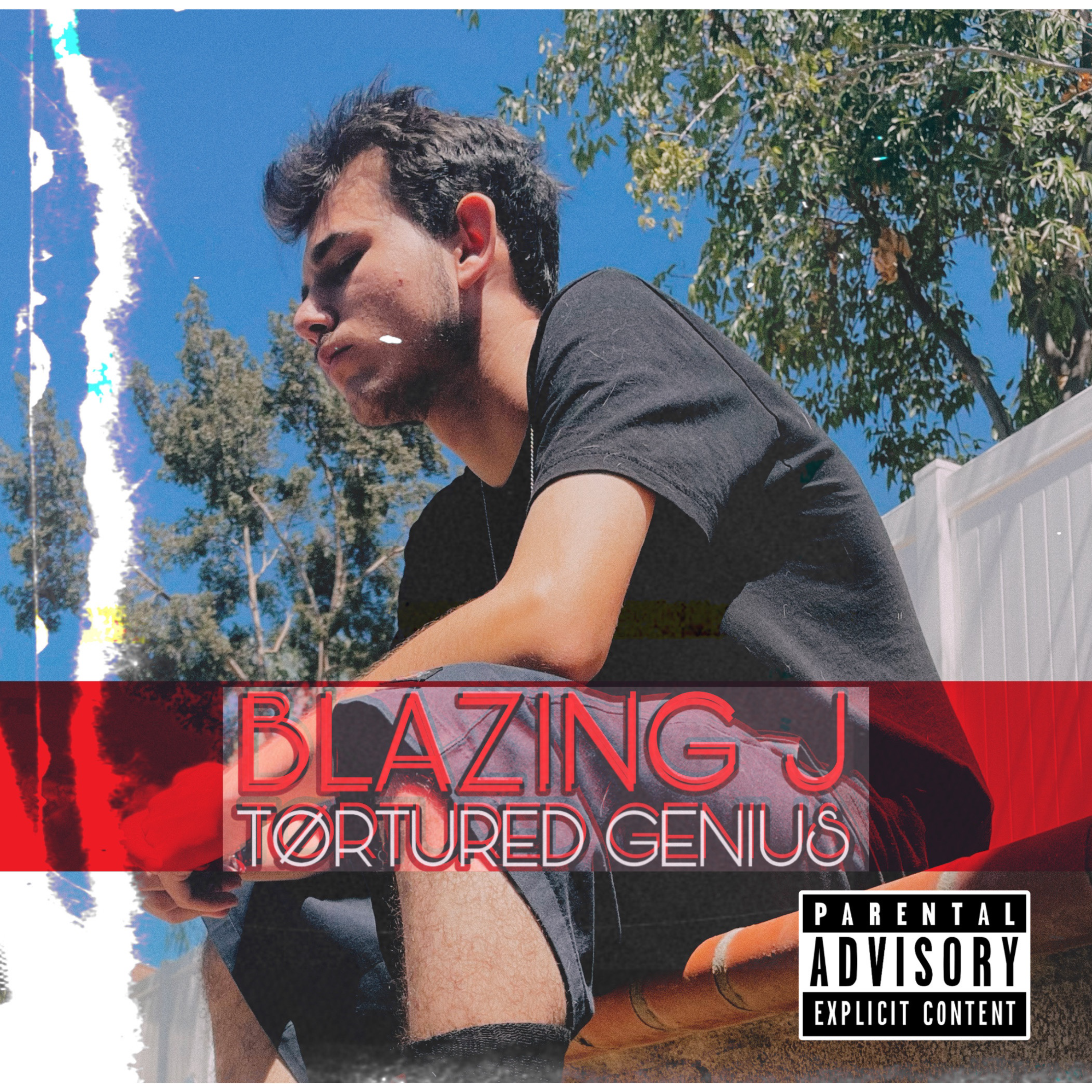 TØRTURED GENIUS artwork