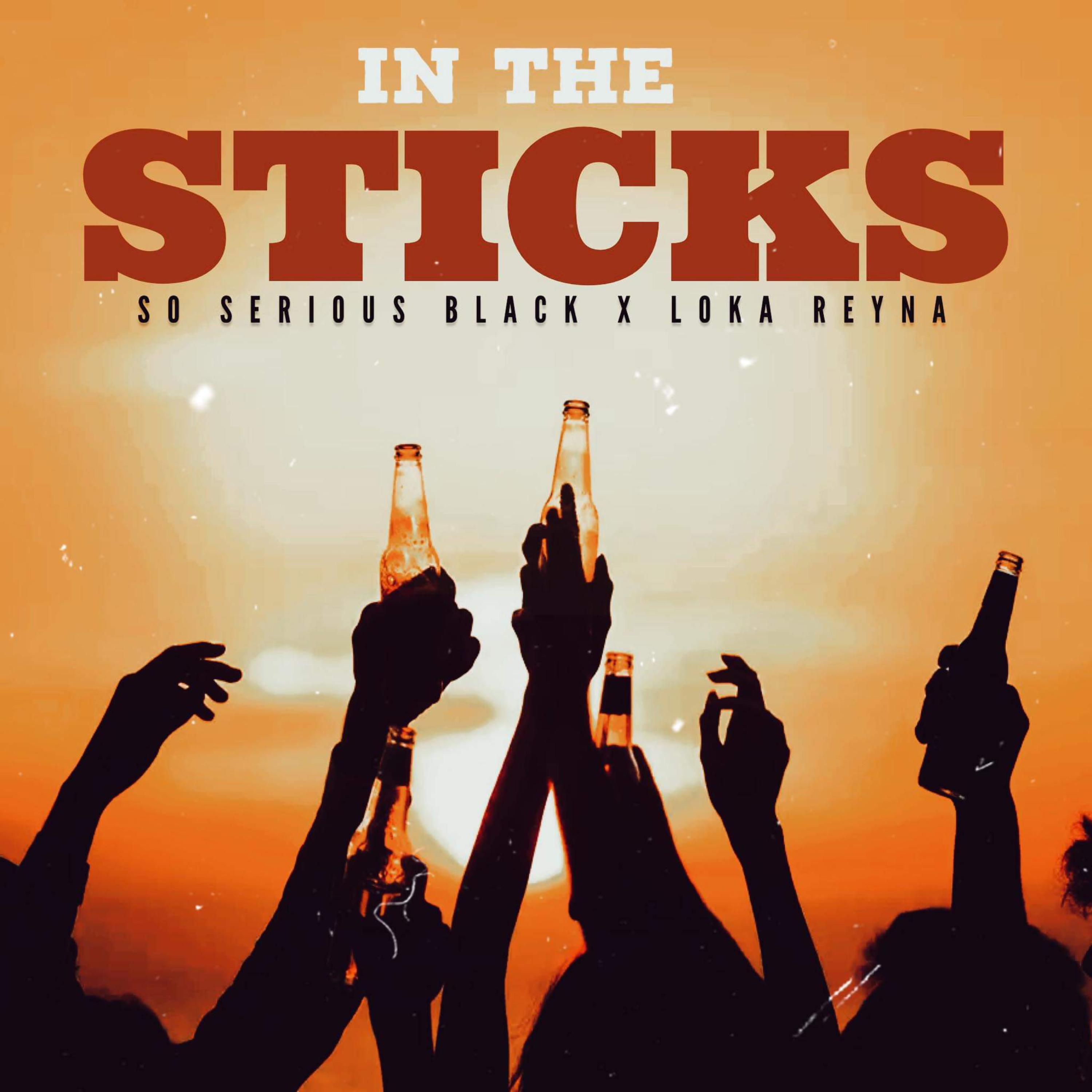 IN THE STICKS  artwork