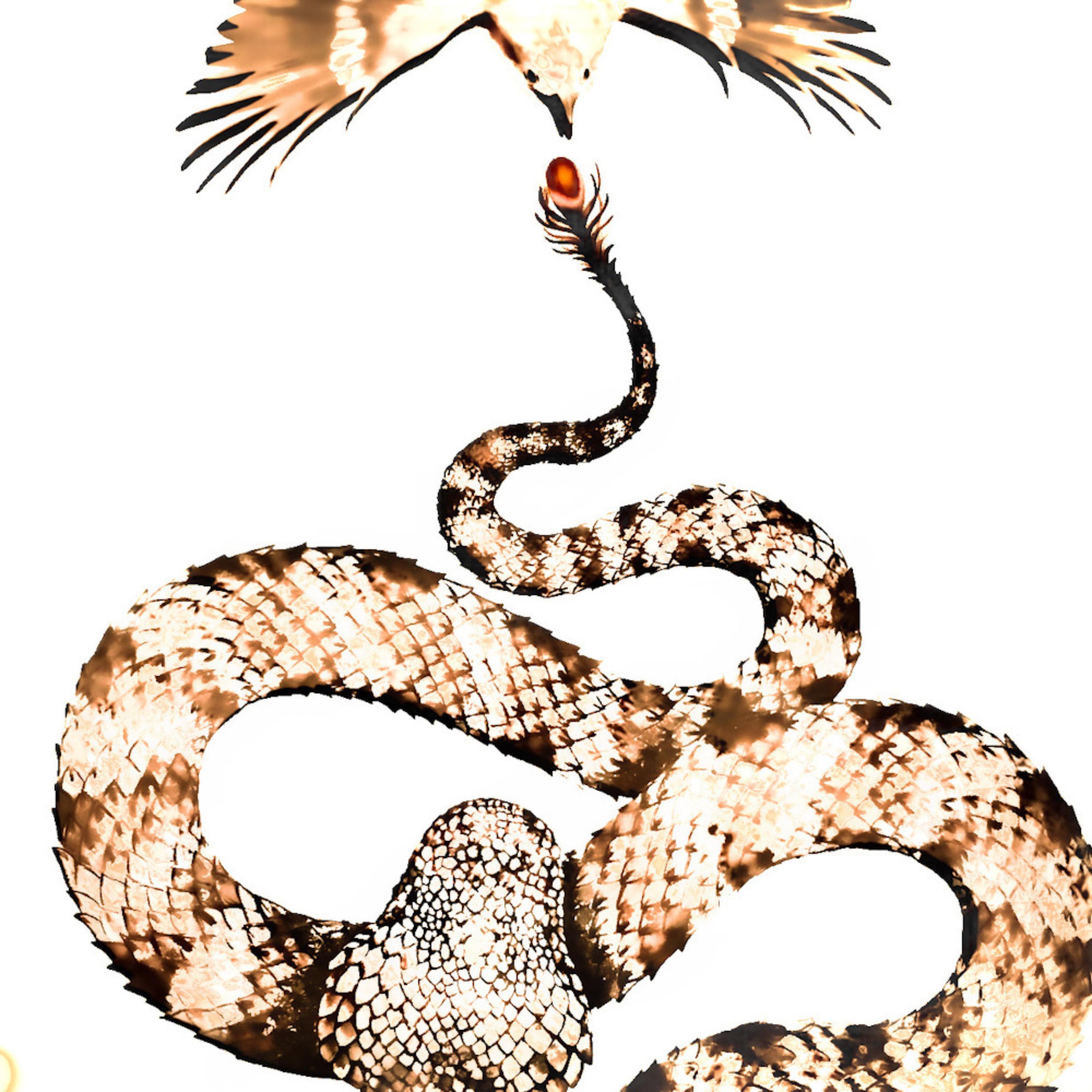 urarachnoides artwork