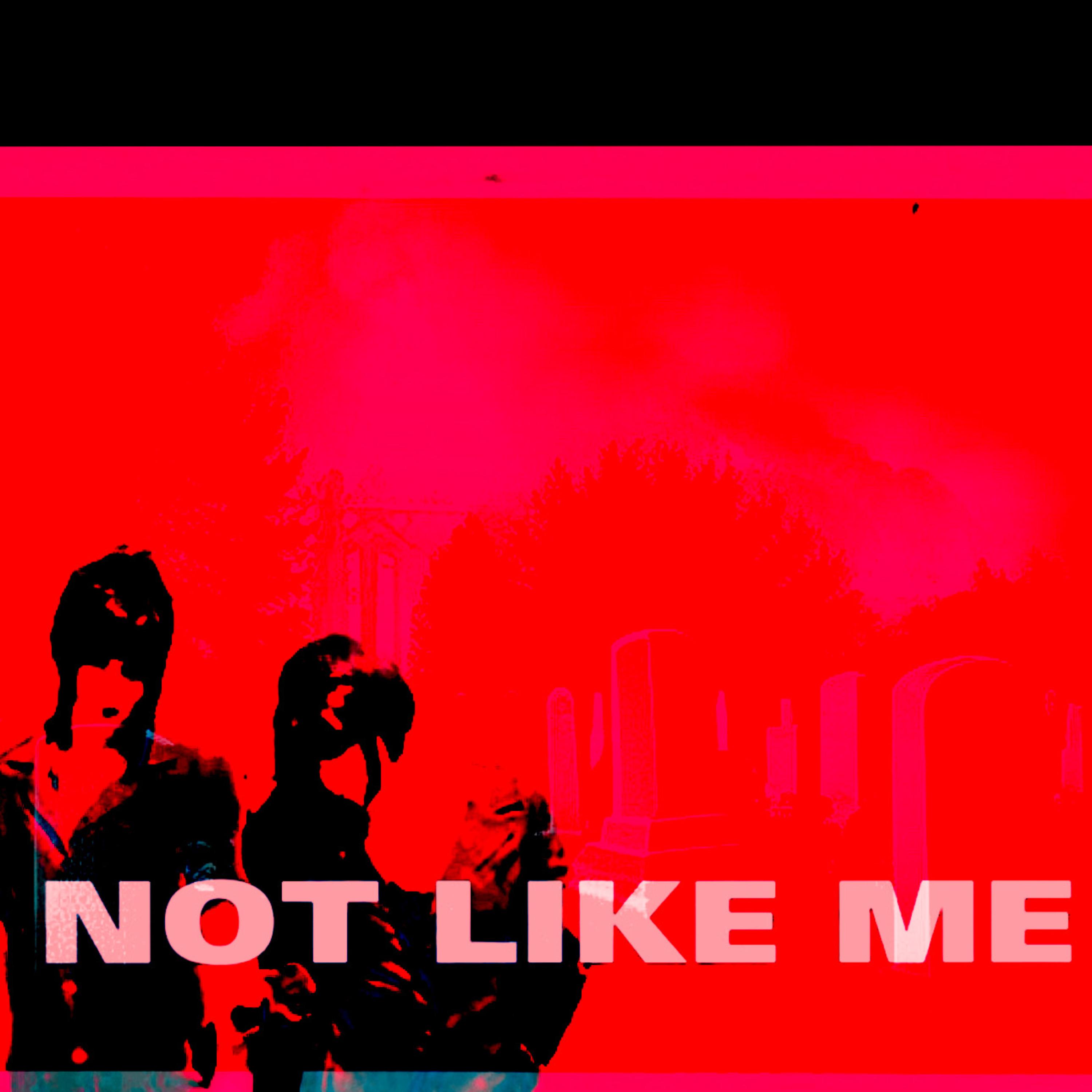 NOT LIKE ME artwork
