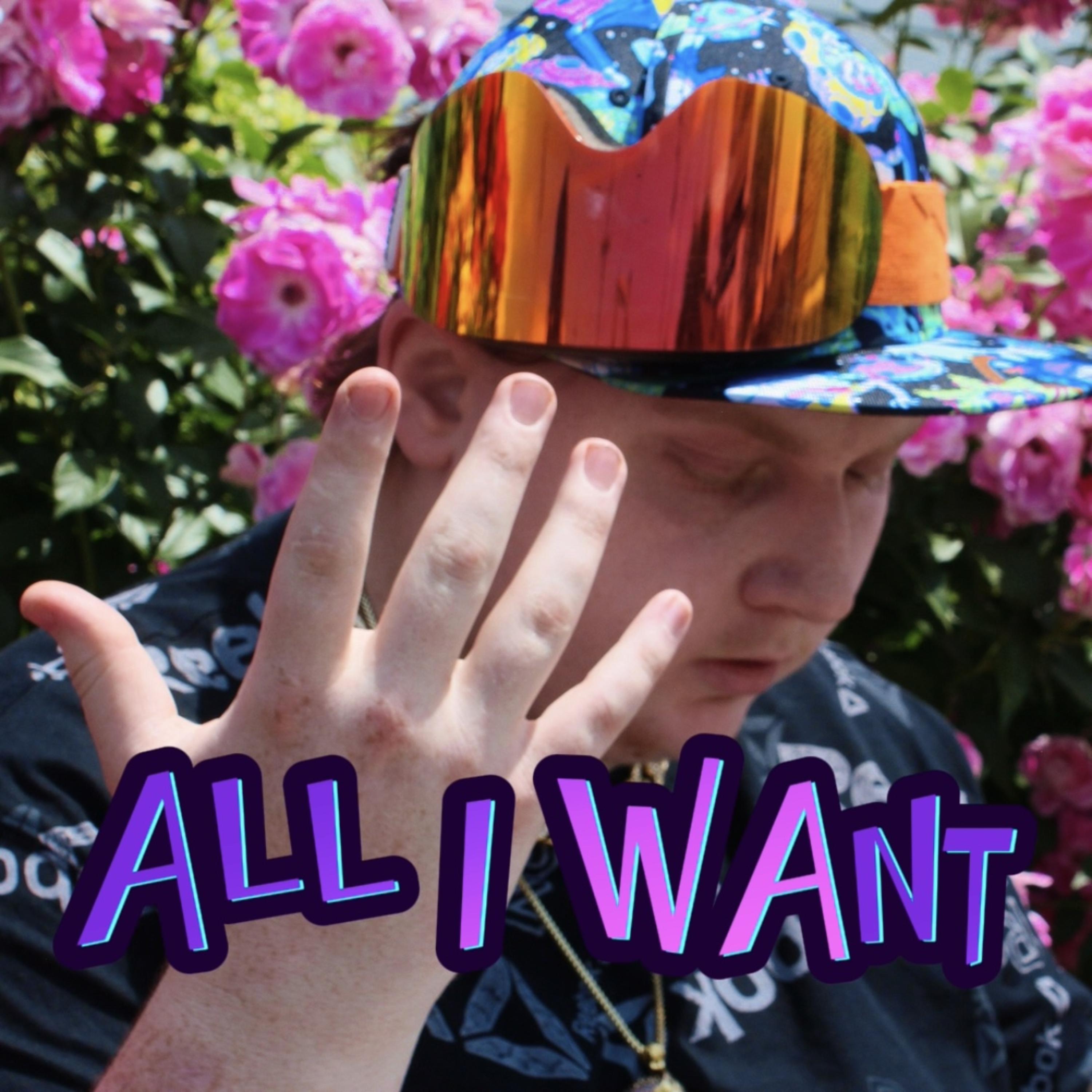ALL I WANT artwork