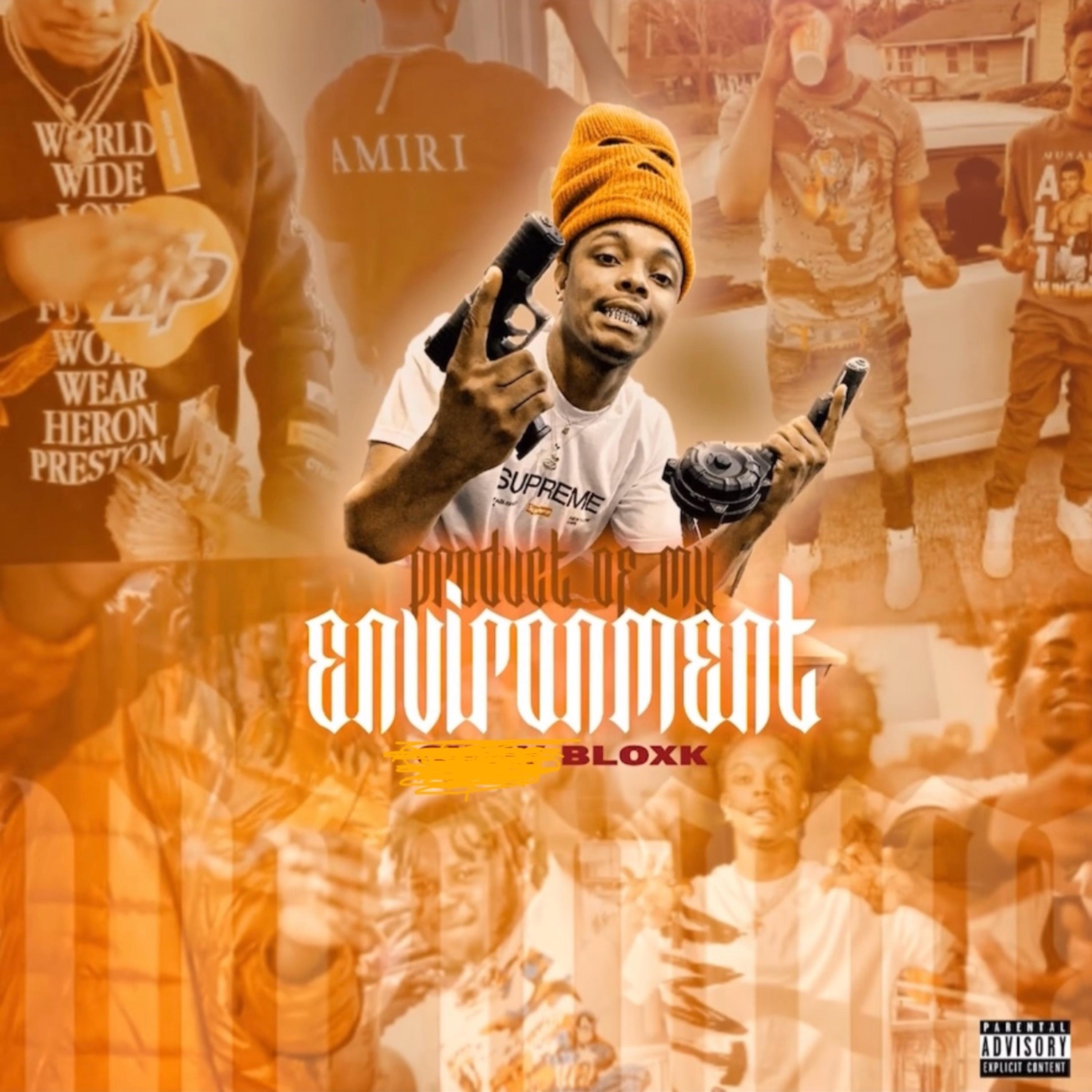 Product Of My Environment artwork