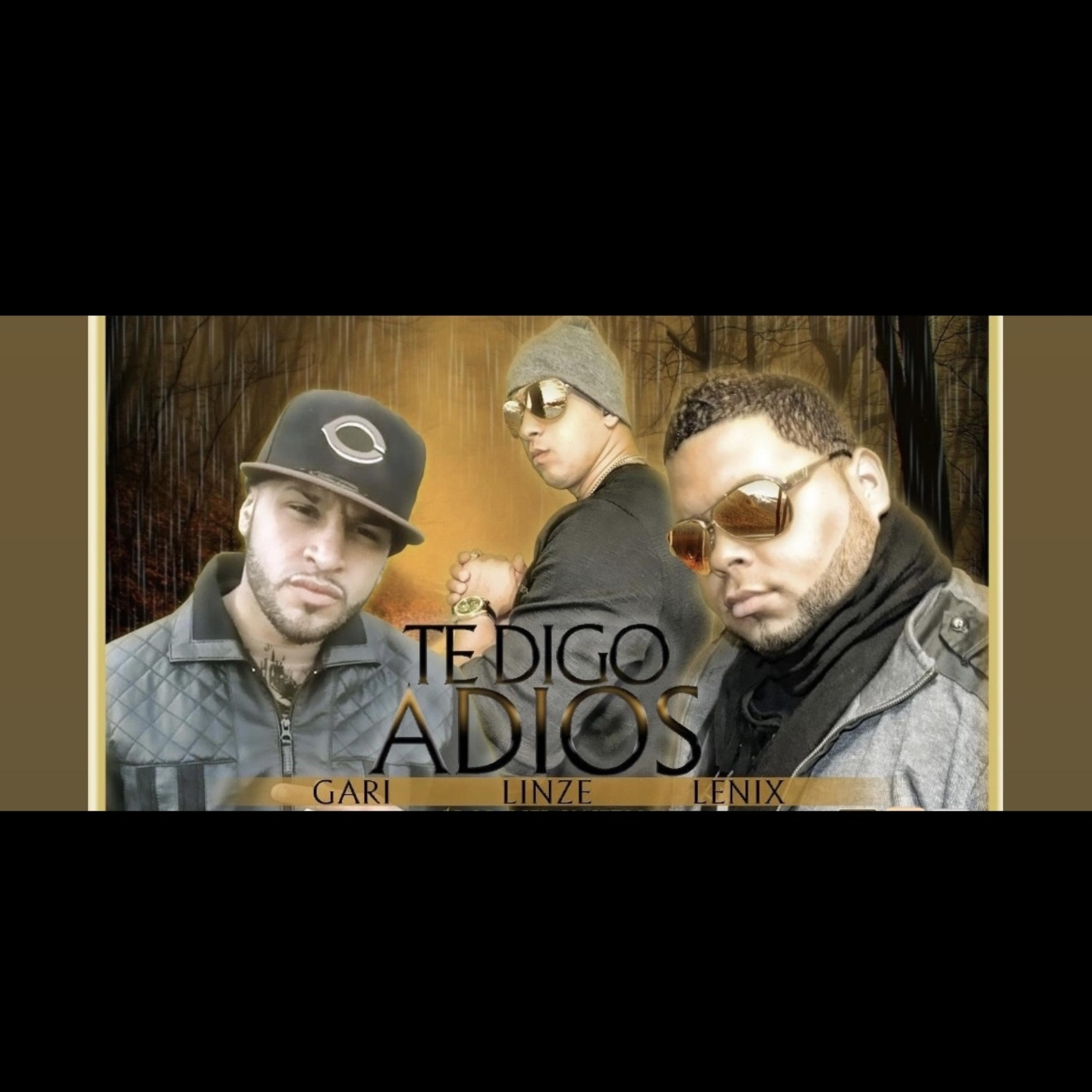 Te Digo Adios artwork