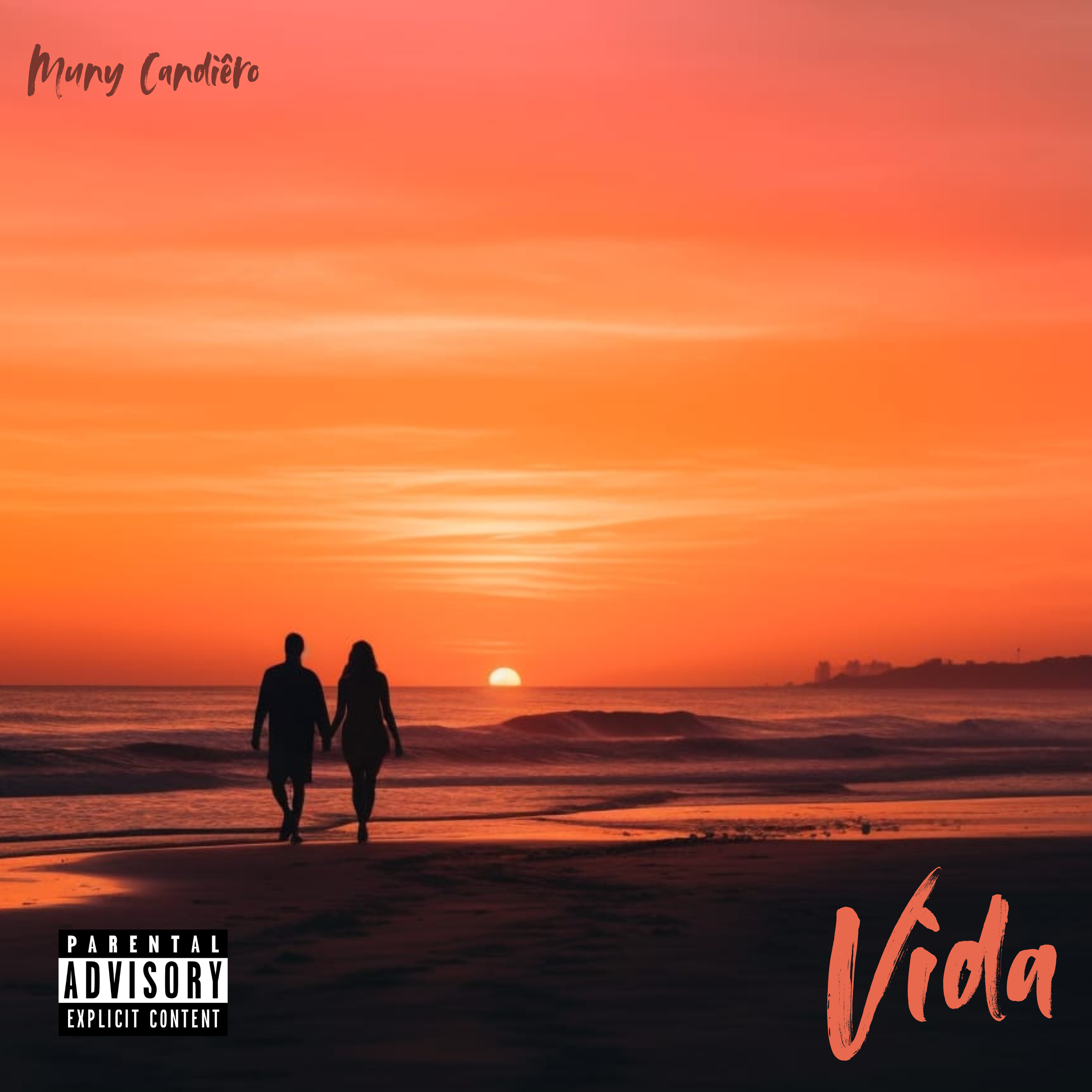 VIDA artwork