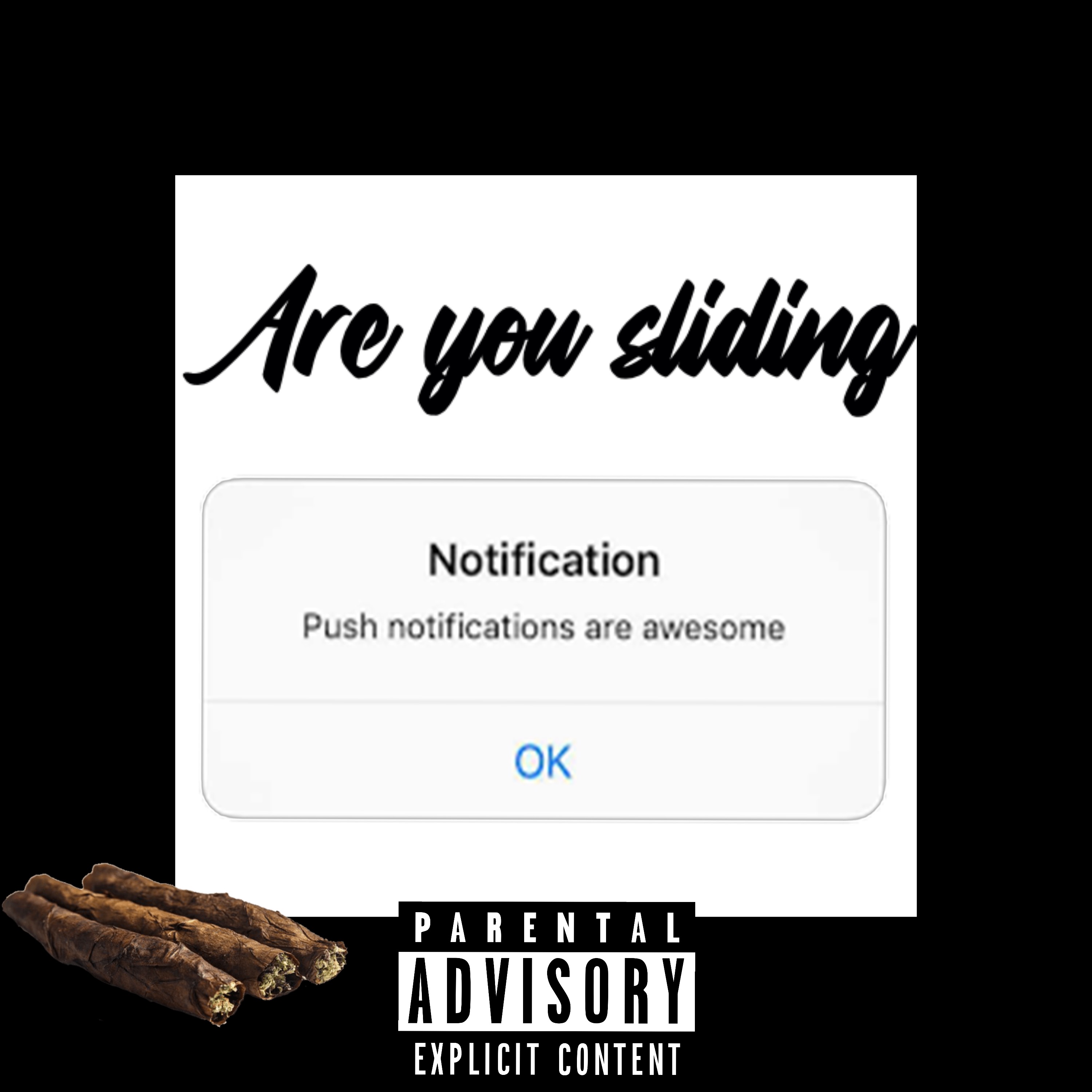 Are You Sliding artwork