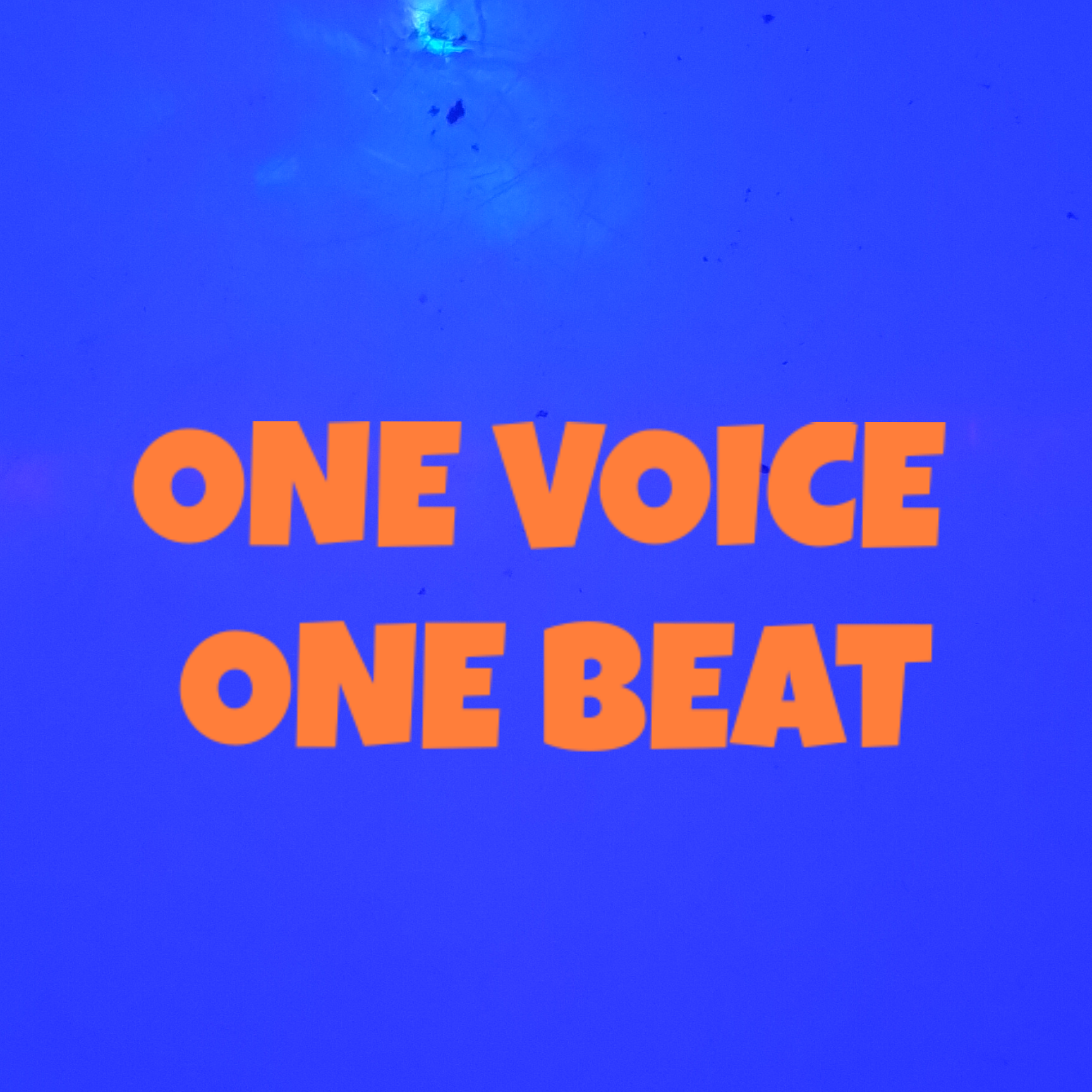 ONE VOICE ONE BEAT artwork
