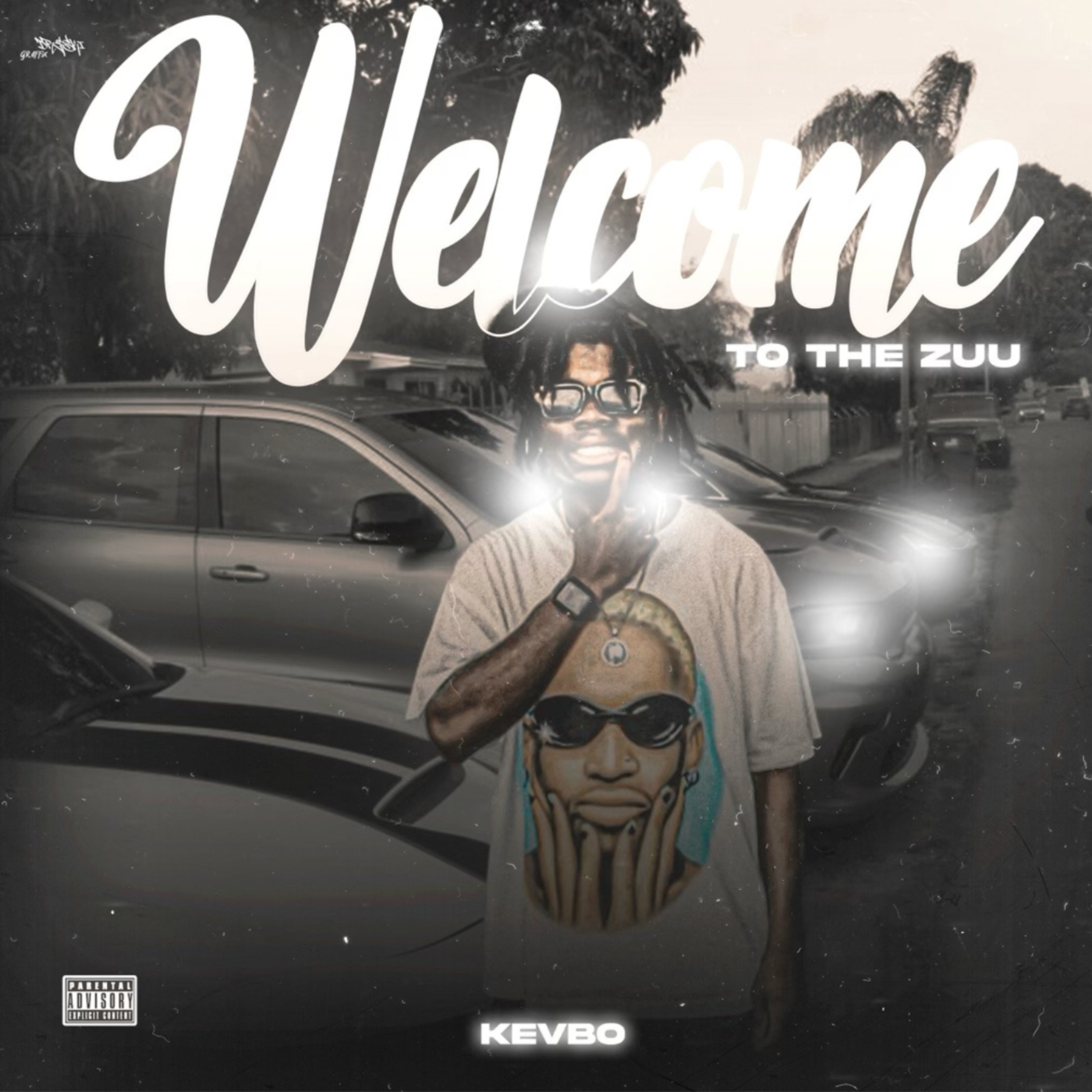 WELCOME TO THE ZUU artwork