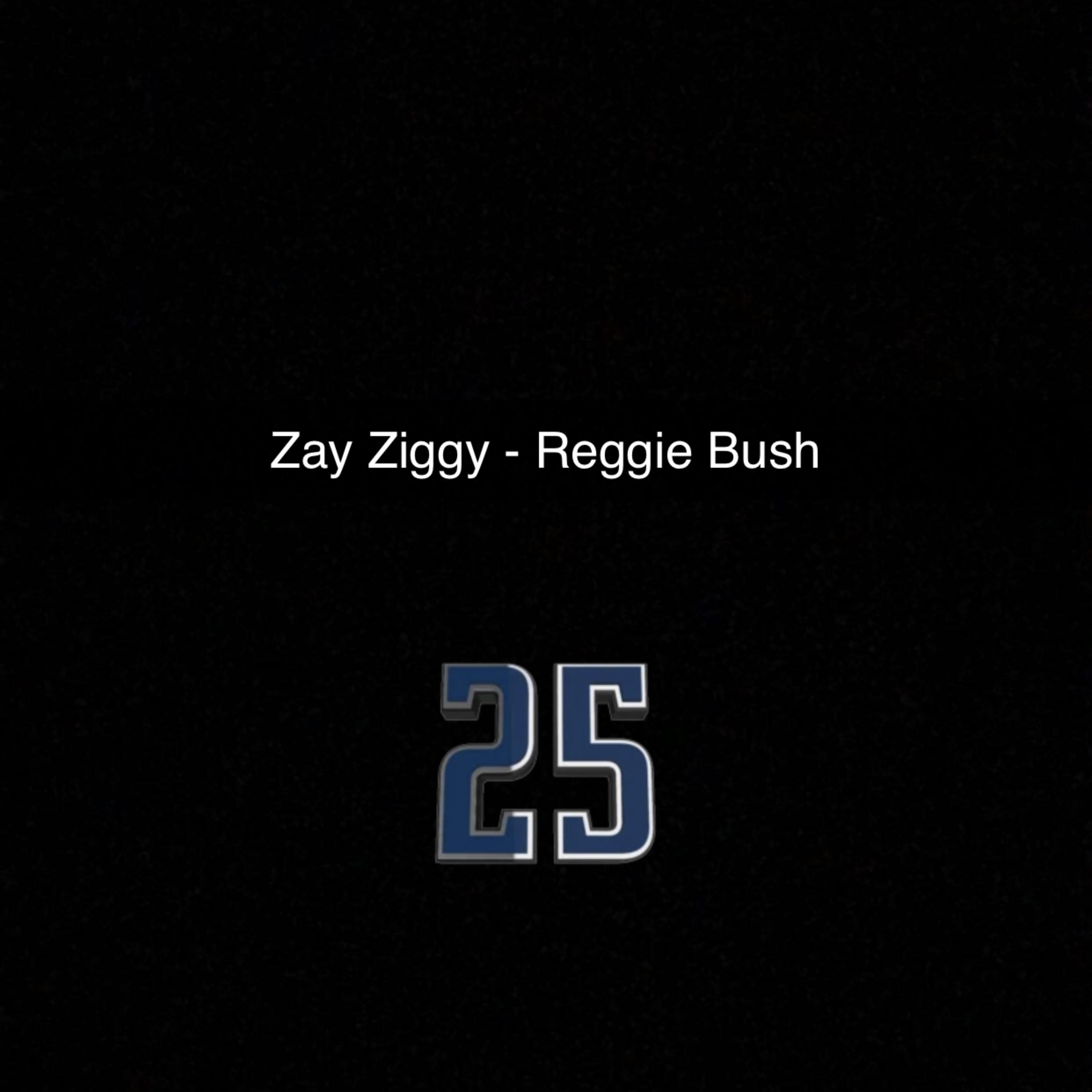 Reggie Bush by Zay Ziggy cover art