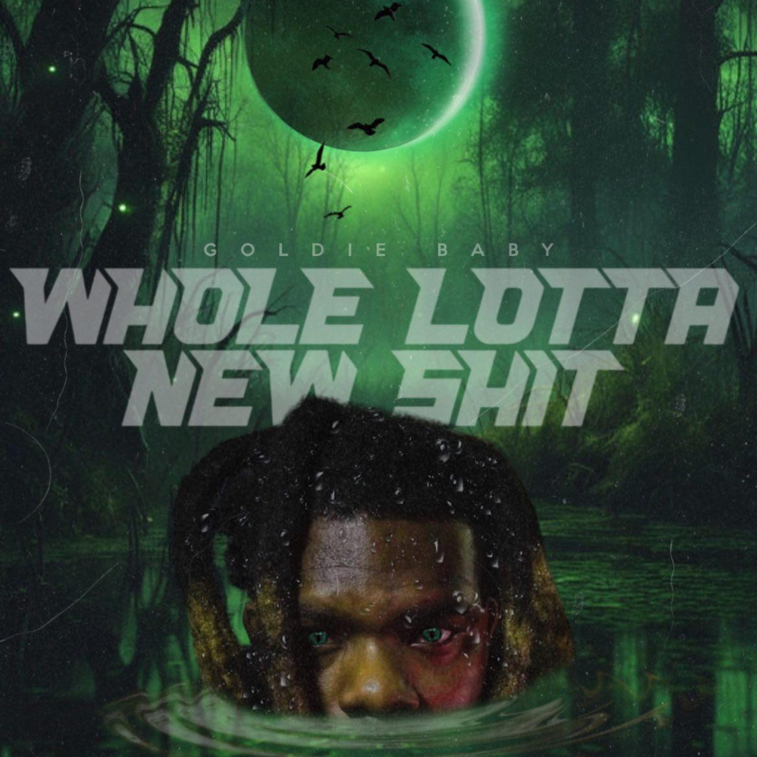 Whole Lotta New Shit artwork