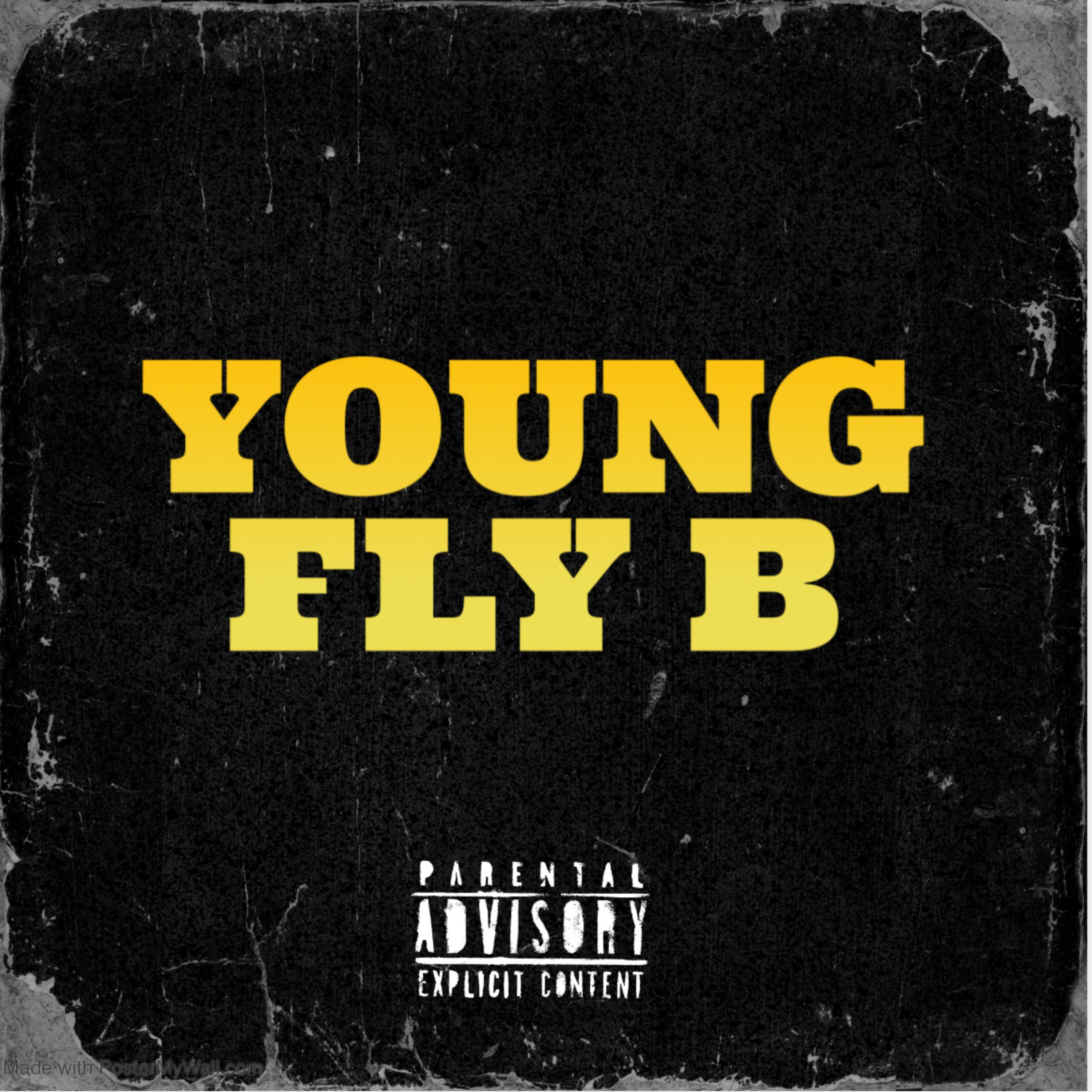 YOUNG FLY B artwork