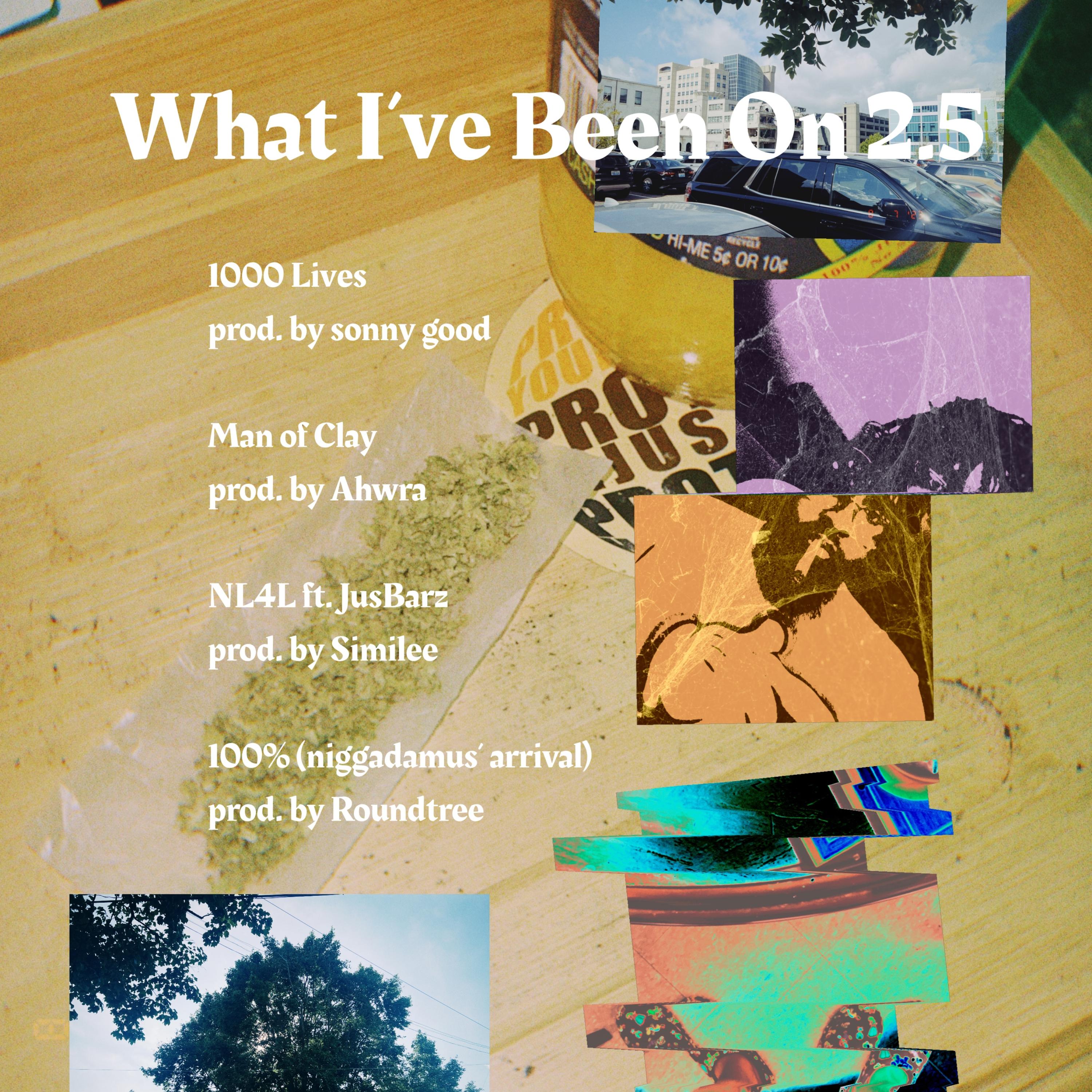 What I've Been On 2.5 artwork