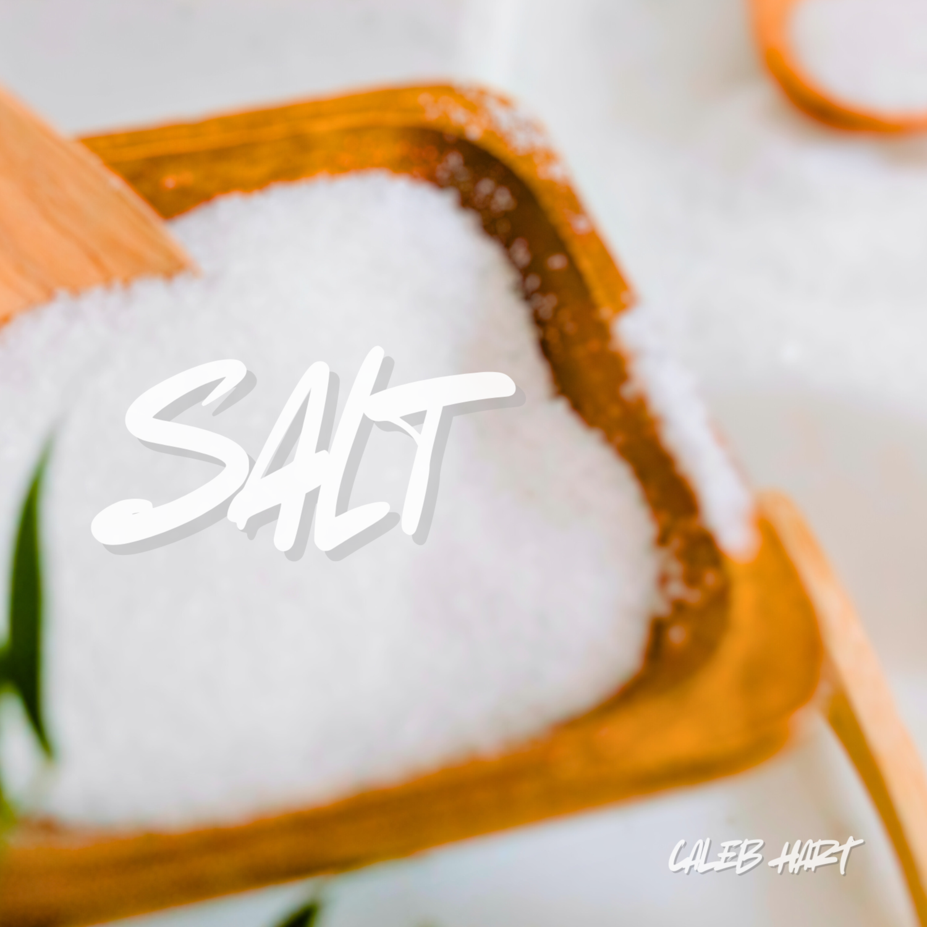 Salt artwork